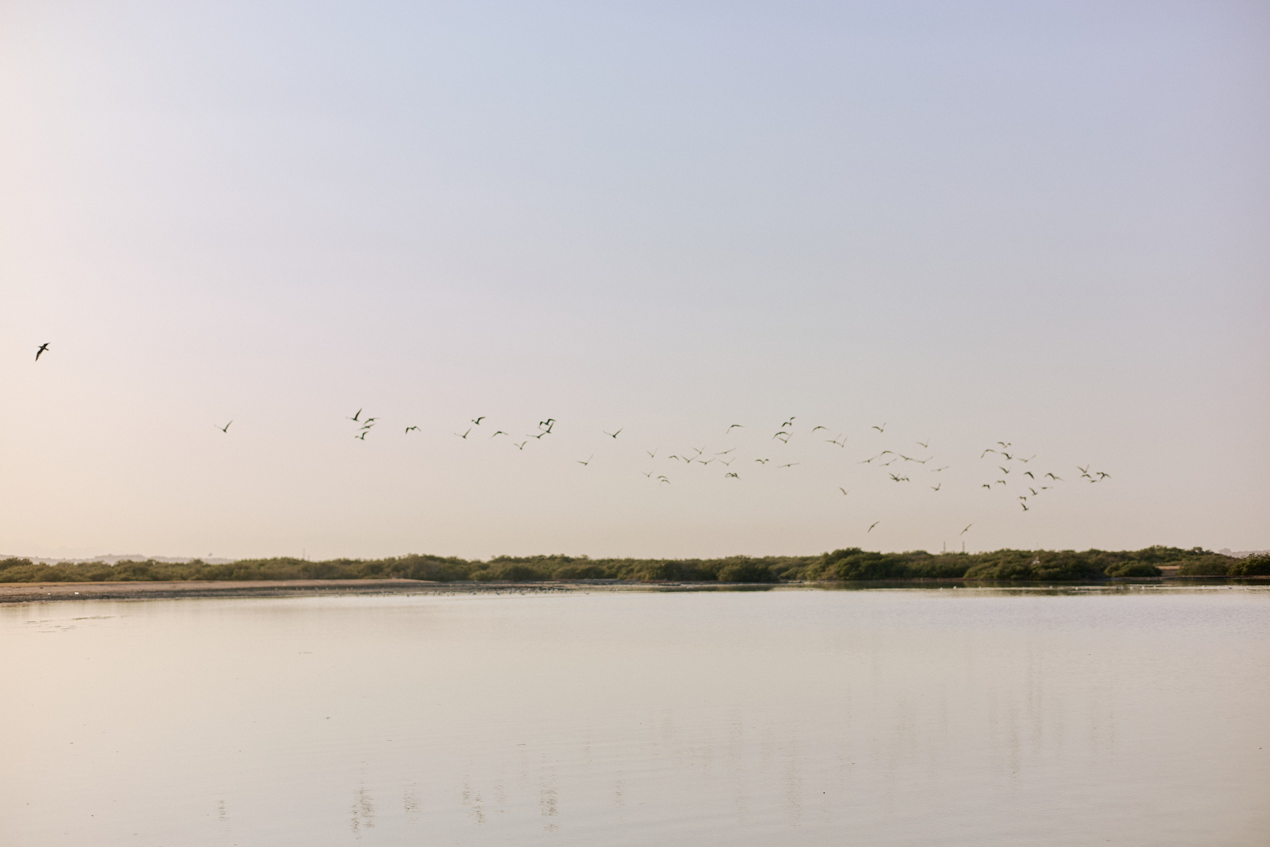 Abu Minqar island. Jorgis — фотограф в Хургаде / обучение фотографии