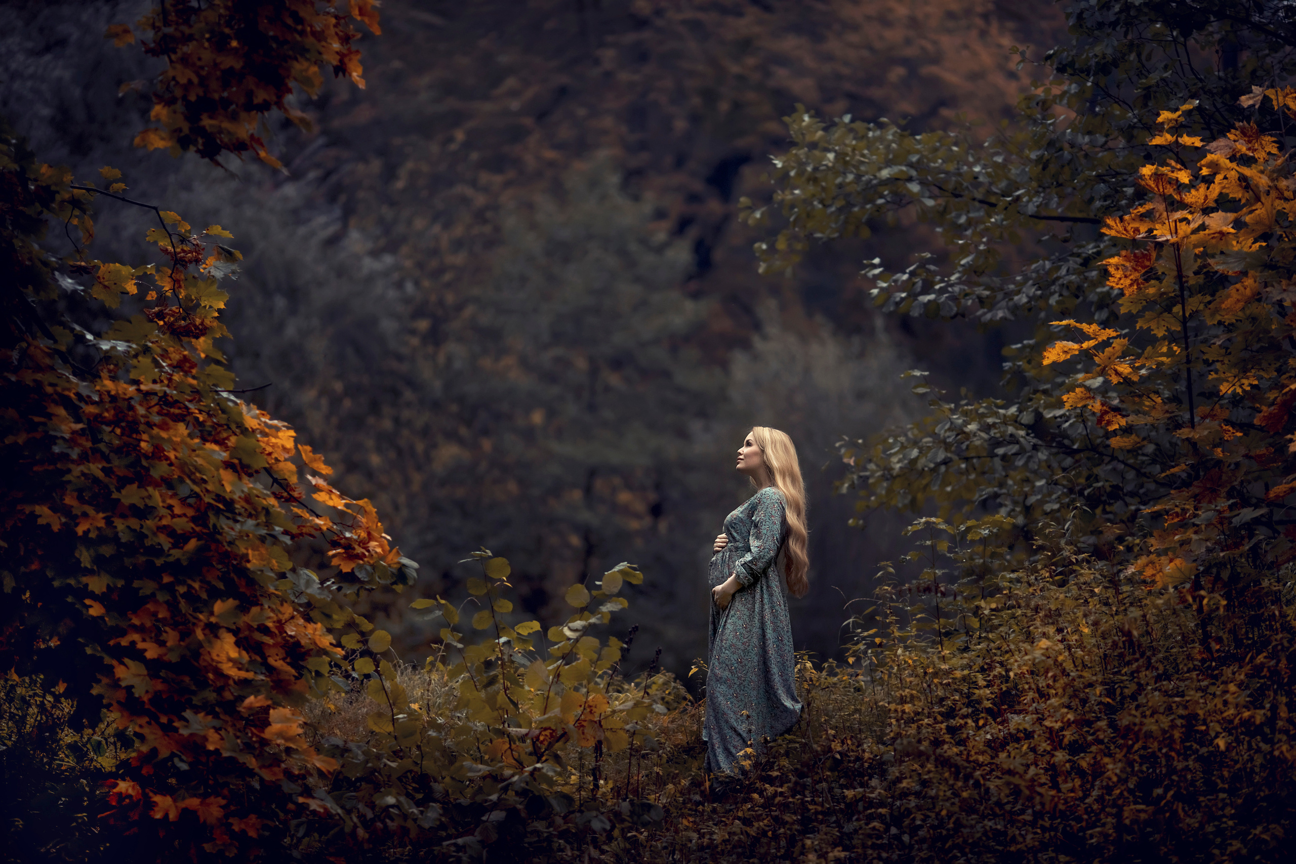 Семейный и детский фотограф Елена Коловицкова