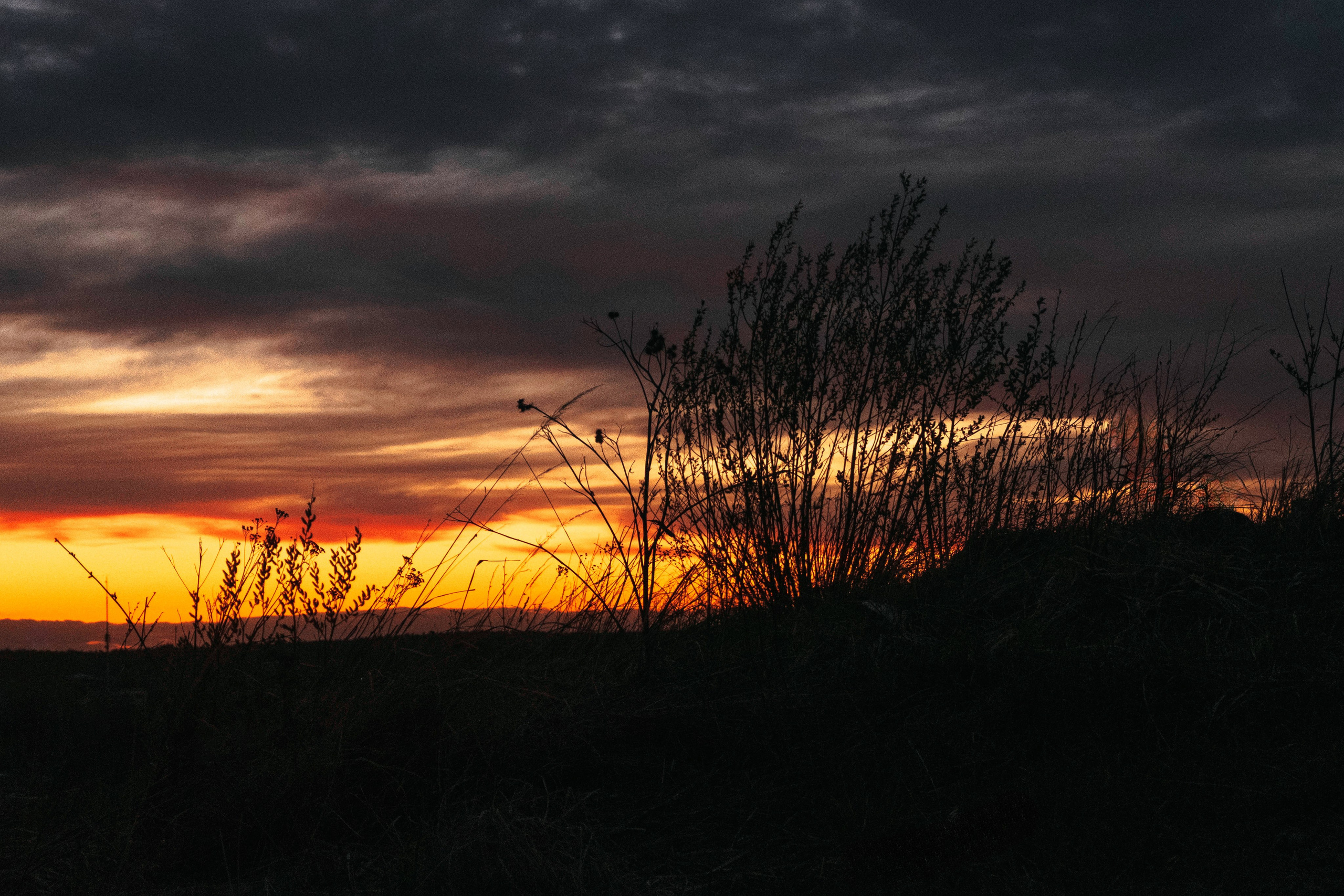 На закате. Фотограф из Москвы — DASHA NOVA | Авторская фотография в разных жанрах