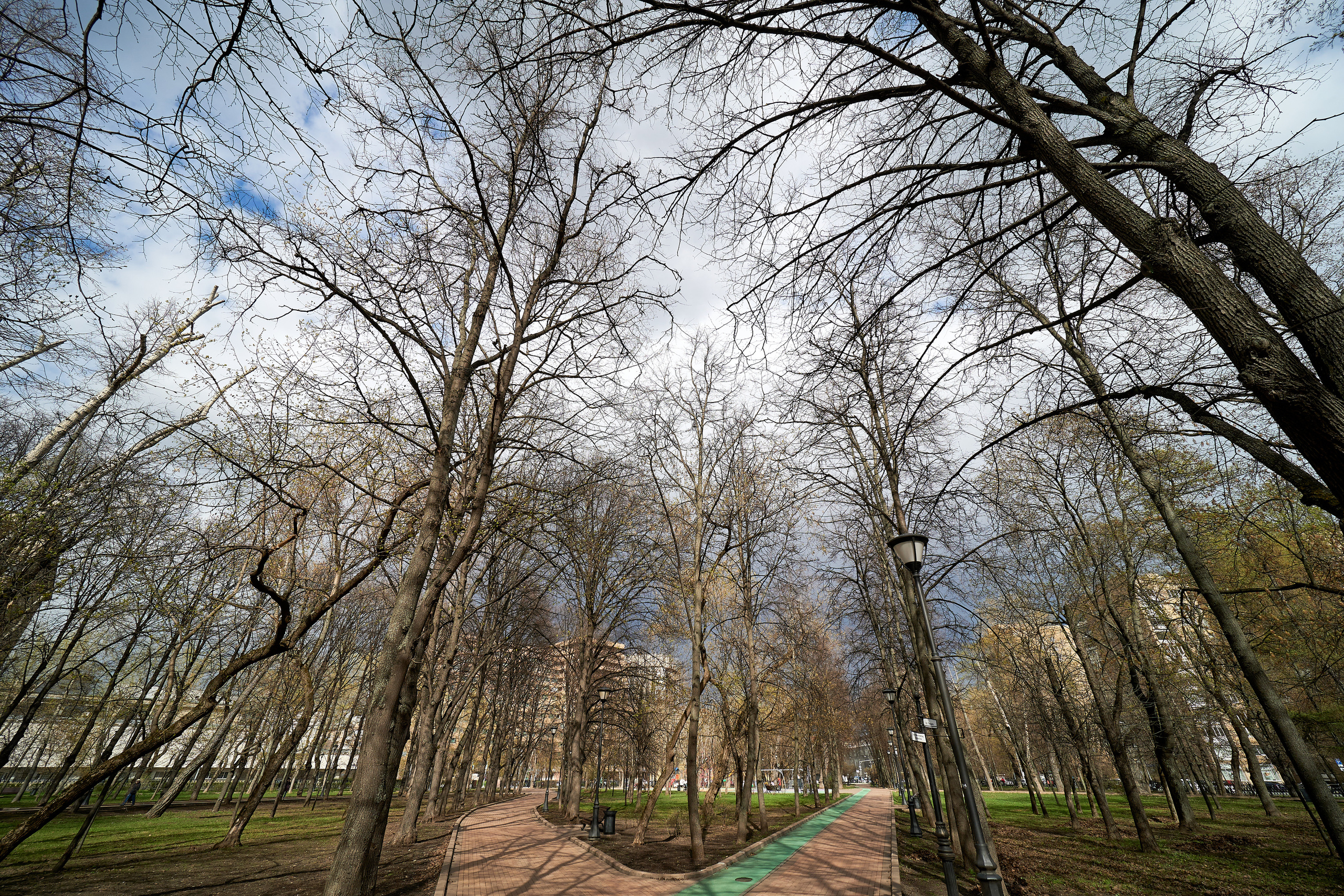 Сквер Девичьего поля в Москве