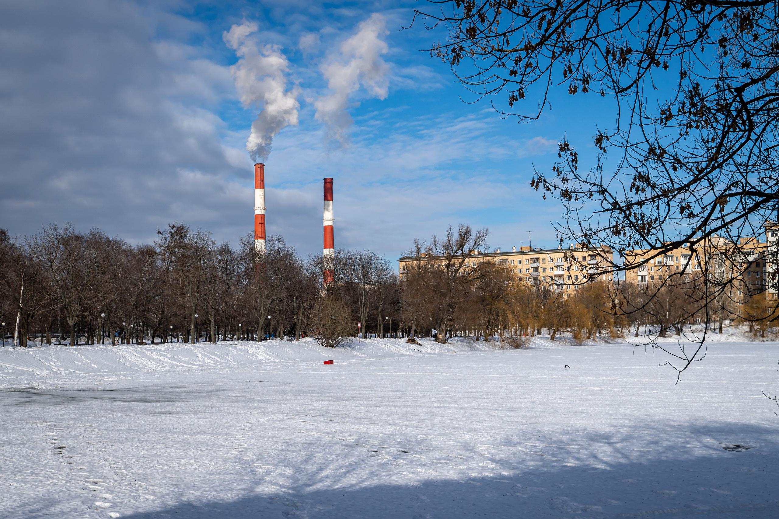 Пруд у Новодевичьего монастыря