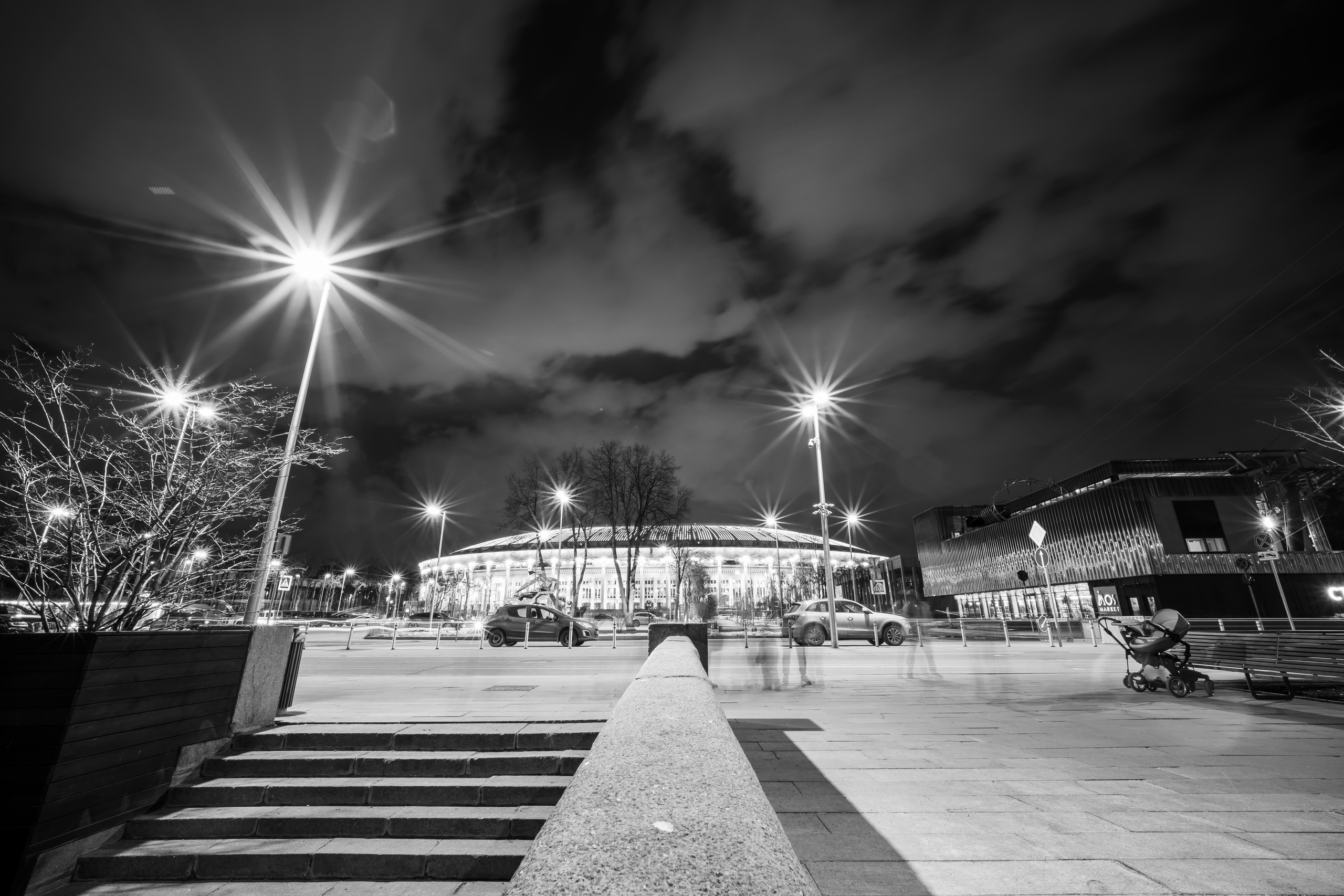 Лужники ночью в черно-белом