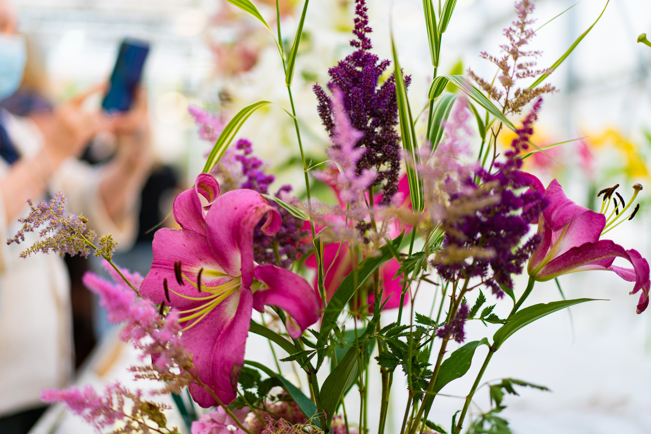 Цветы в Аптекарском огороде в Москве