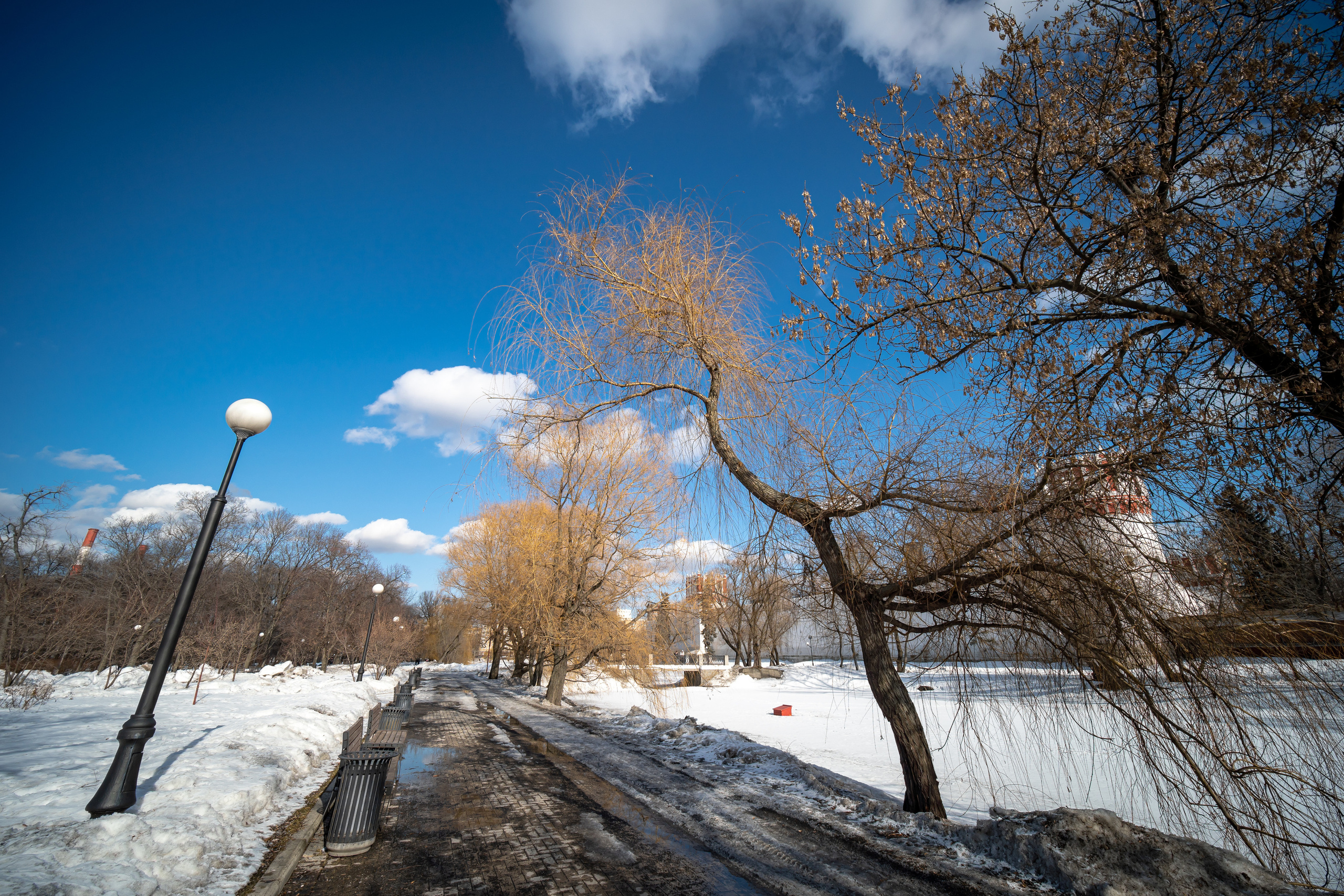 Парк Новодевичьего монастыря