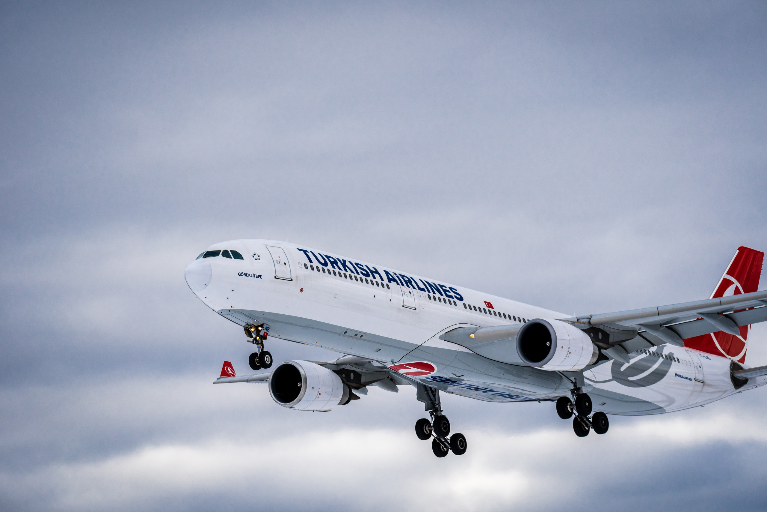 Turkish Airlines во Внуково