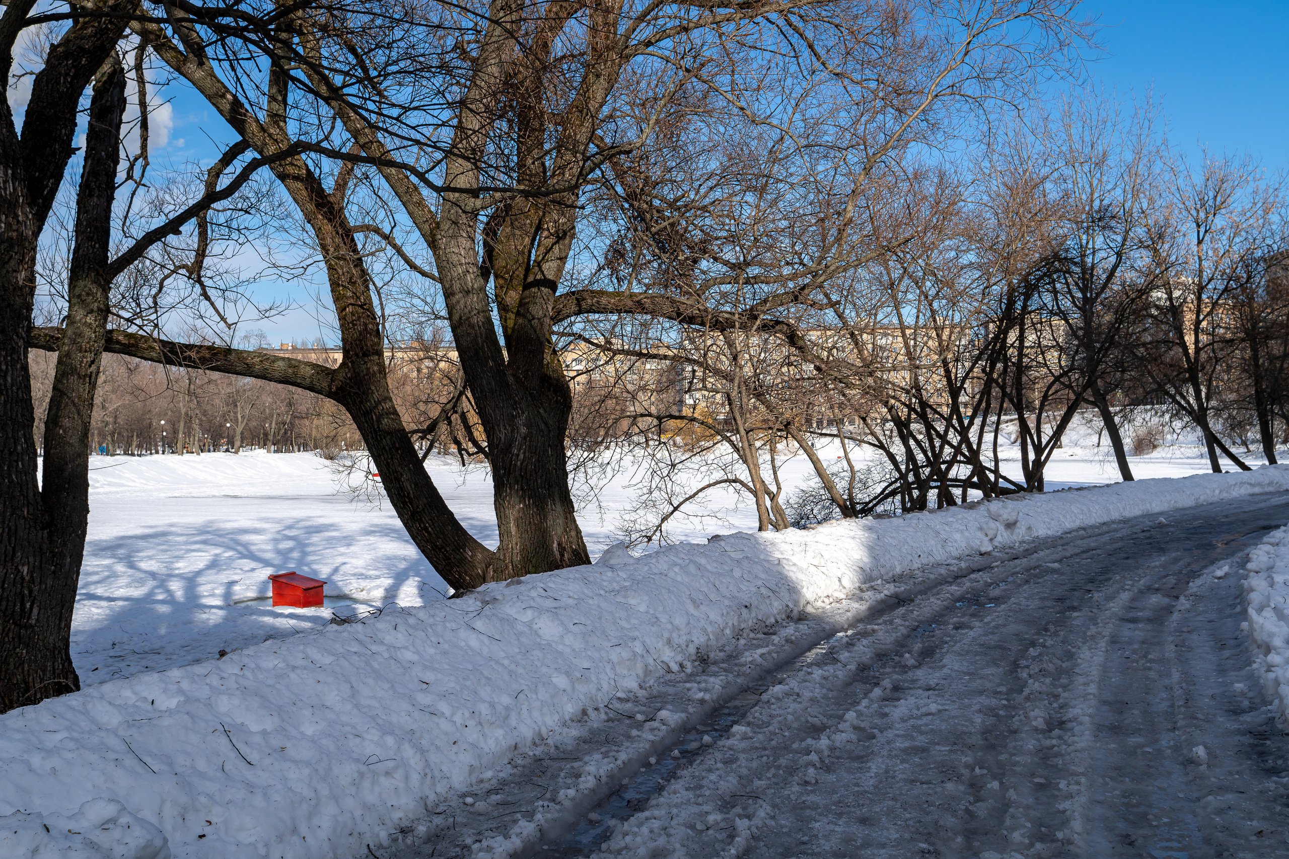 Парк Новодевичьего монастыря