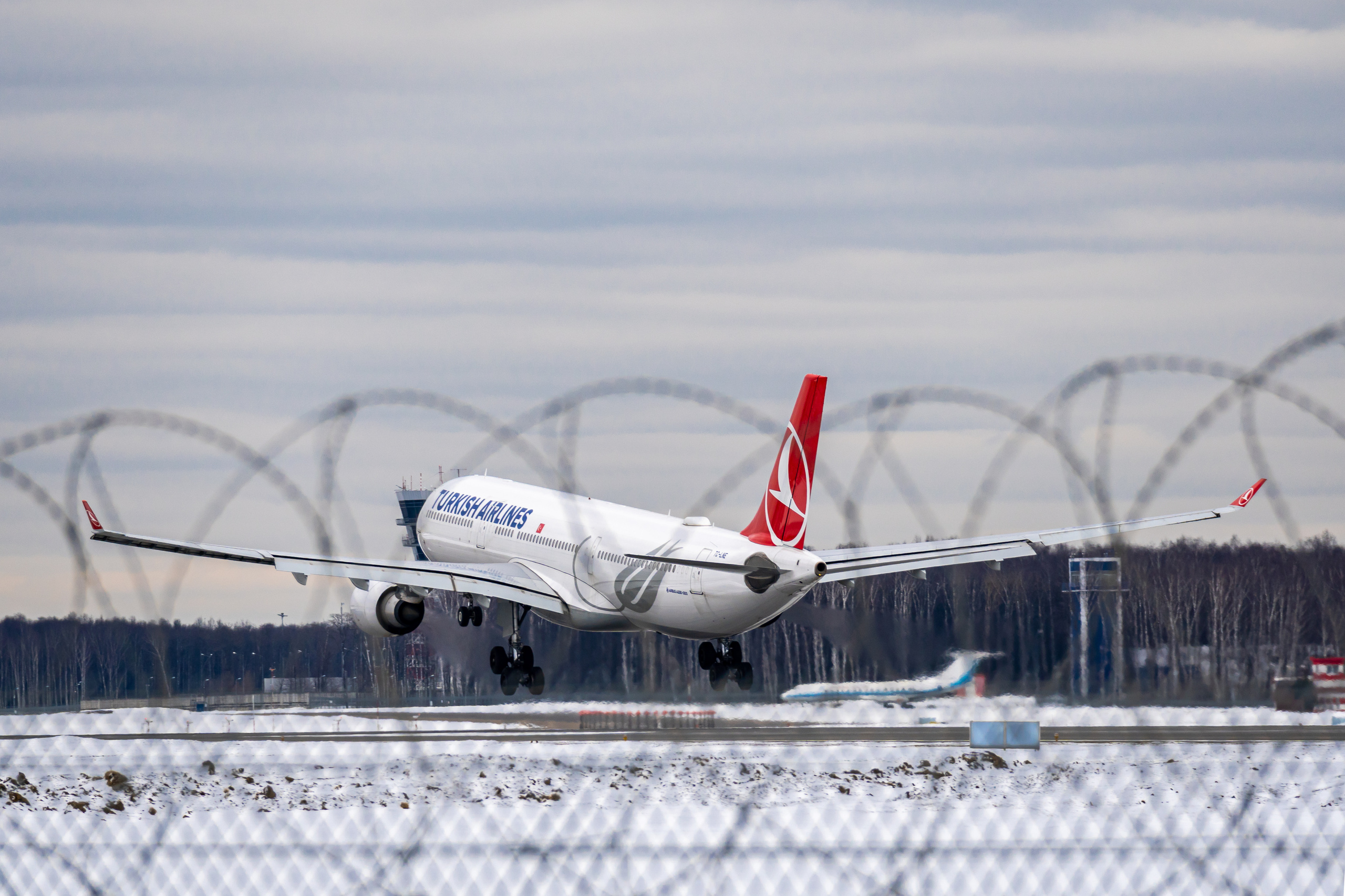 Turkish Airlines во Внуково