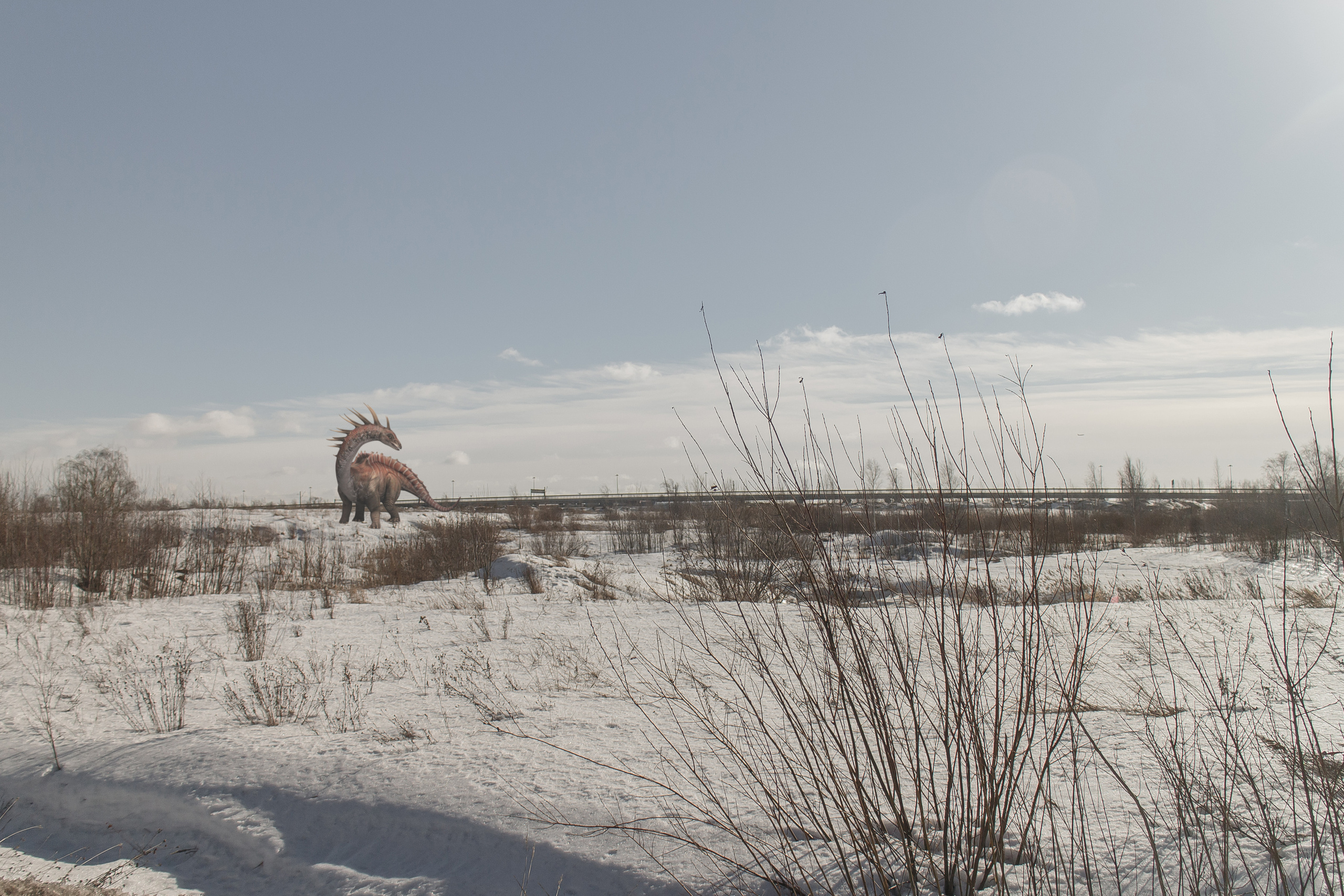 «Я иду искать». Козлова Екатерина. Междисциплинарная визуальная художница