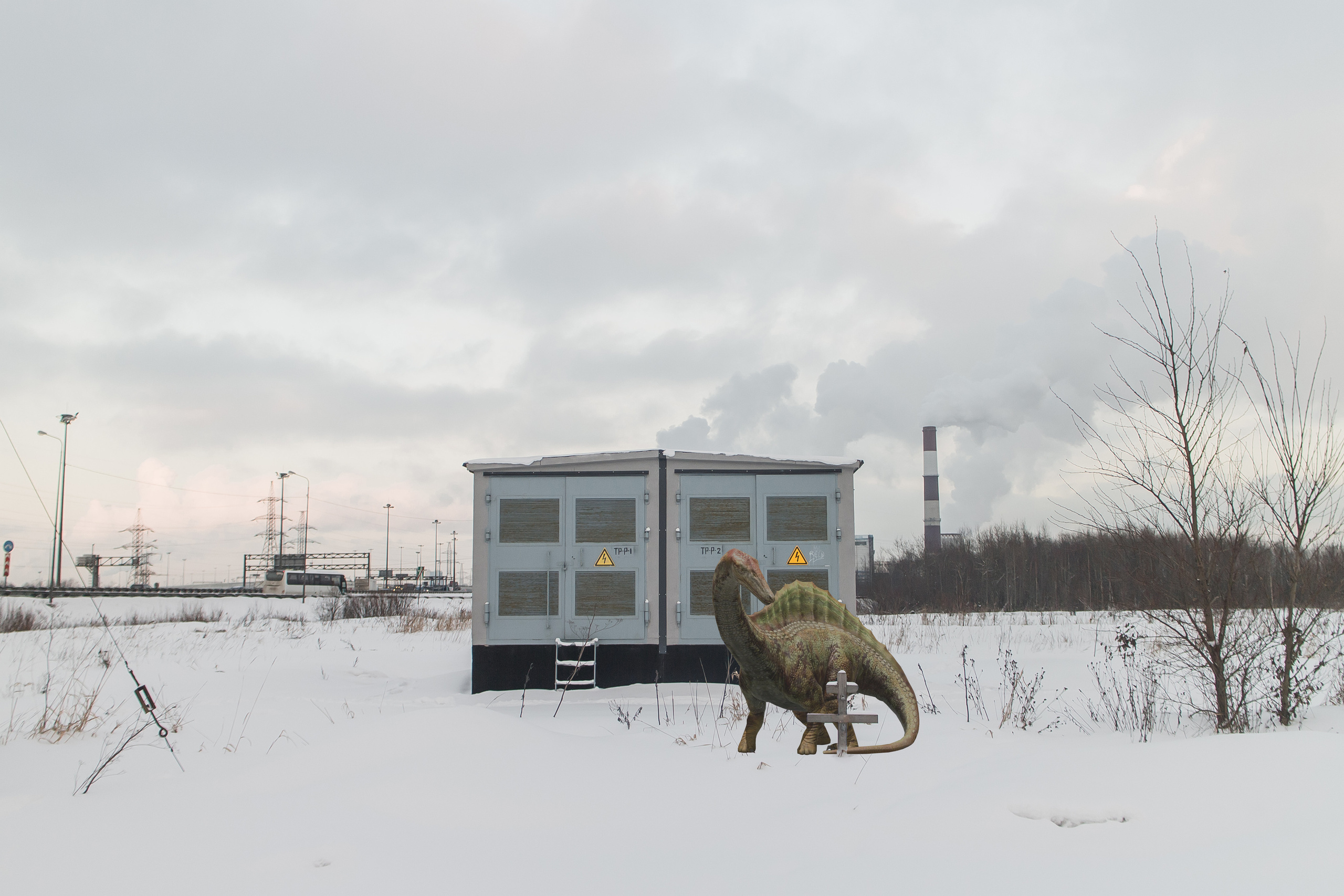 «Я иду искать». Козлова Екатерина. Междисциплинарная визуальная художница