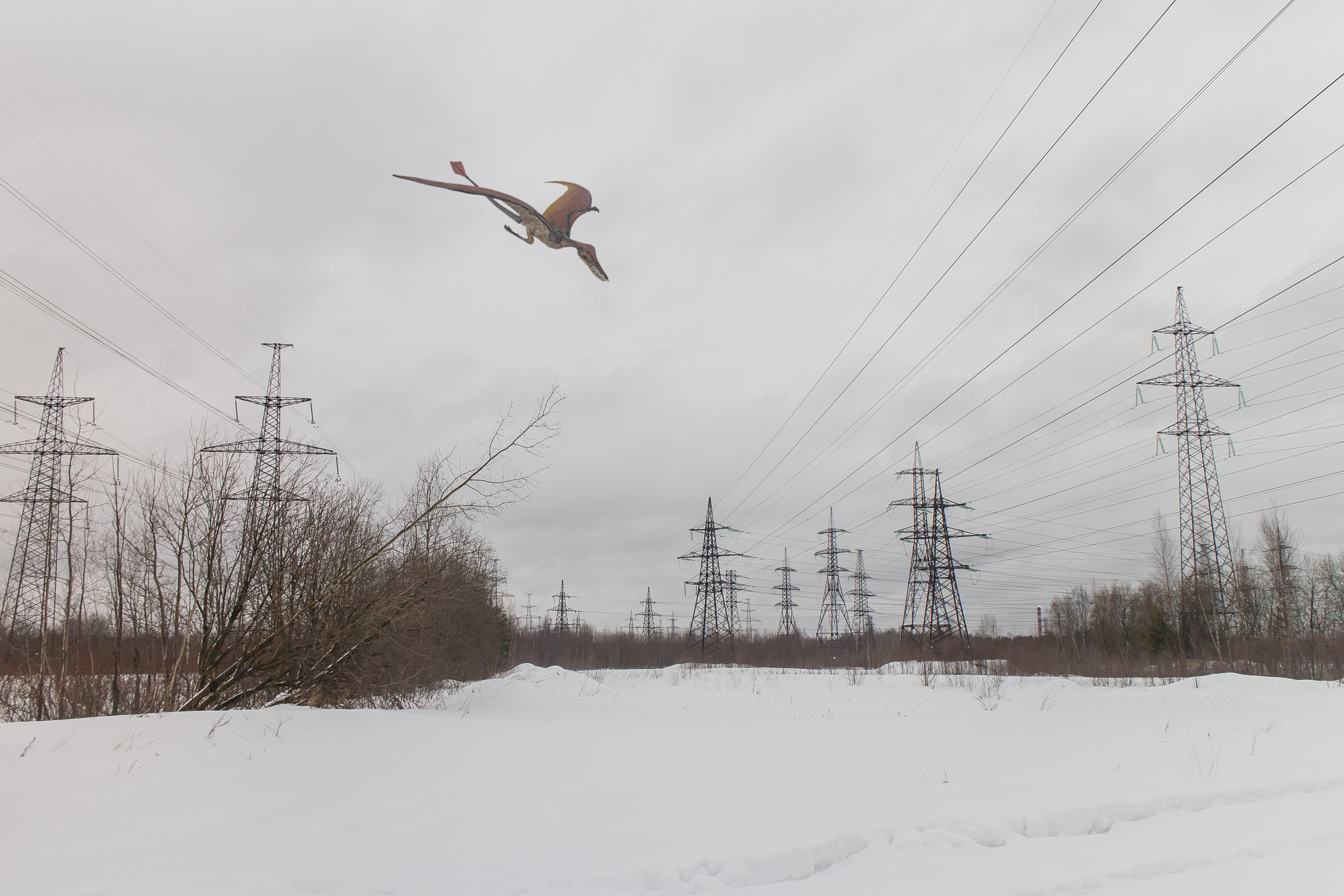 «Я иду искать». Козлова Екатерина. Междисциплинарная визуальная художница