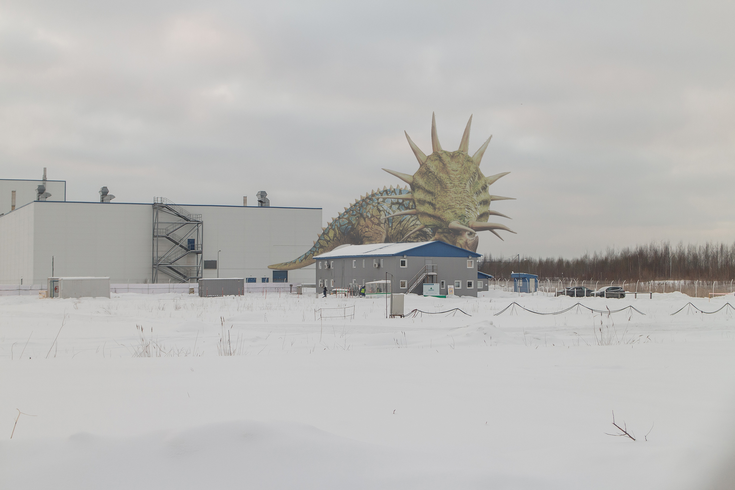 «Я иду искать». Козлова Екатерина. Междисциплинарная визуальная художница