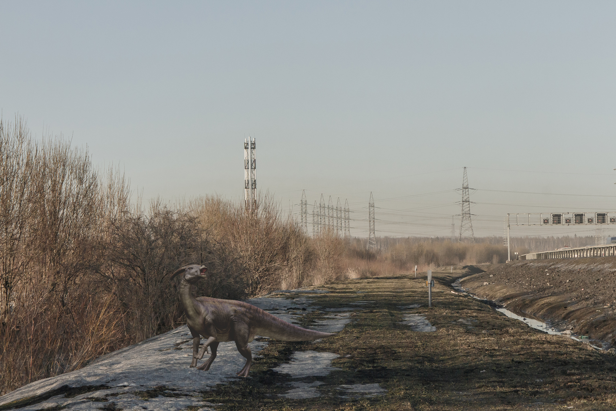 «Я иду искать». Козлова Екатерина. Междисциплинарная визуальная художница