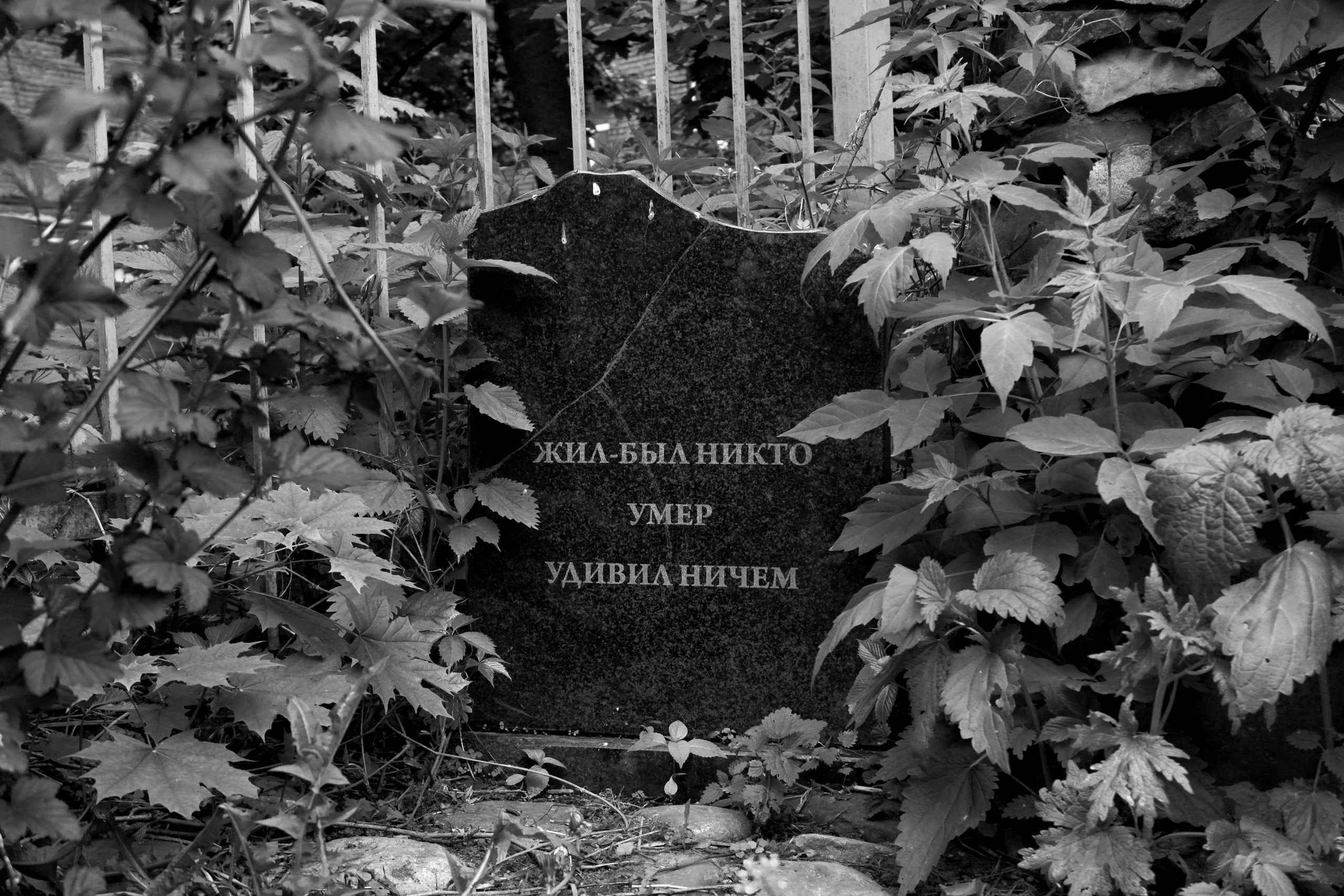 Скитания. Фотограф Яна Титова в Санкт-Петербурге