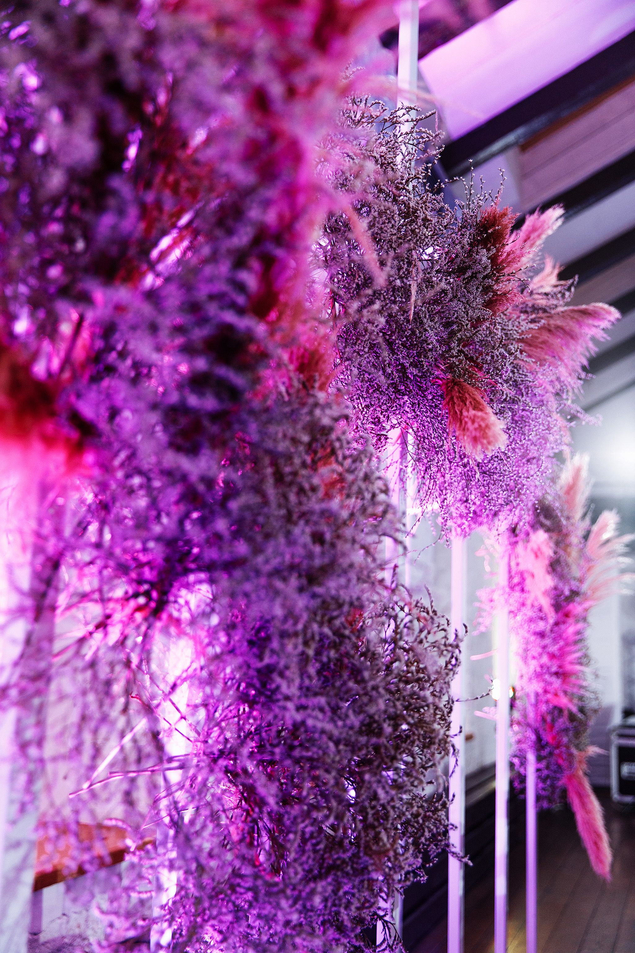 29 июня 2019. Анонс свадьбы. Фотограф Игорь Цаплин