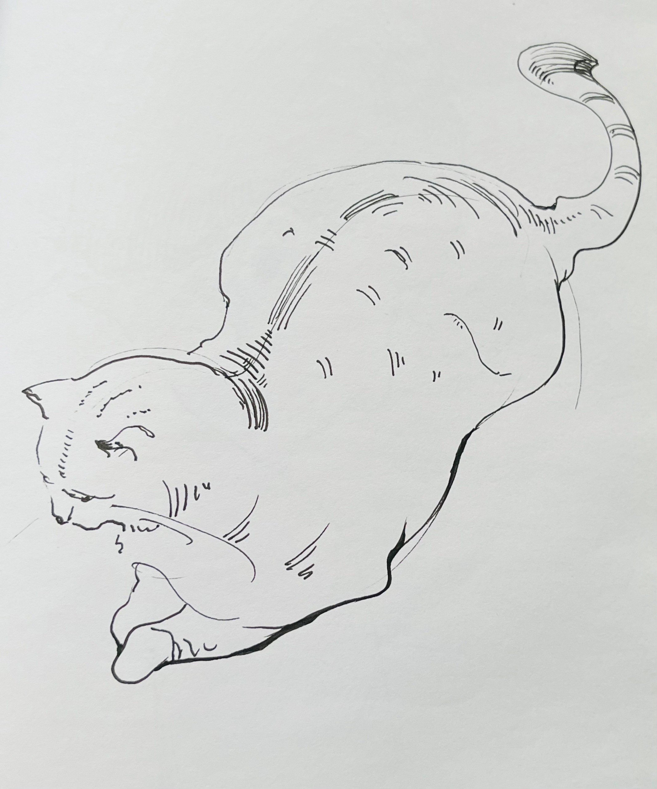 День котов. Ефремова Ольга. Художник