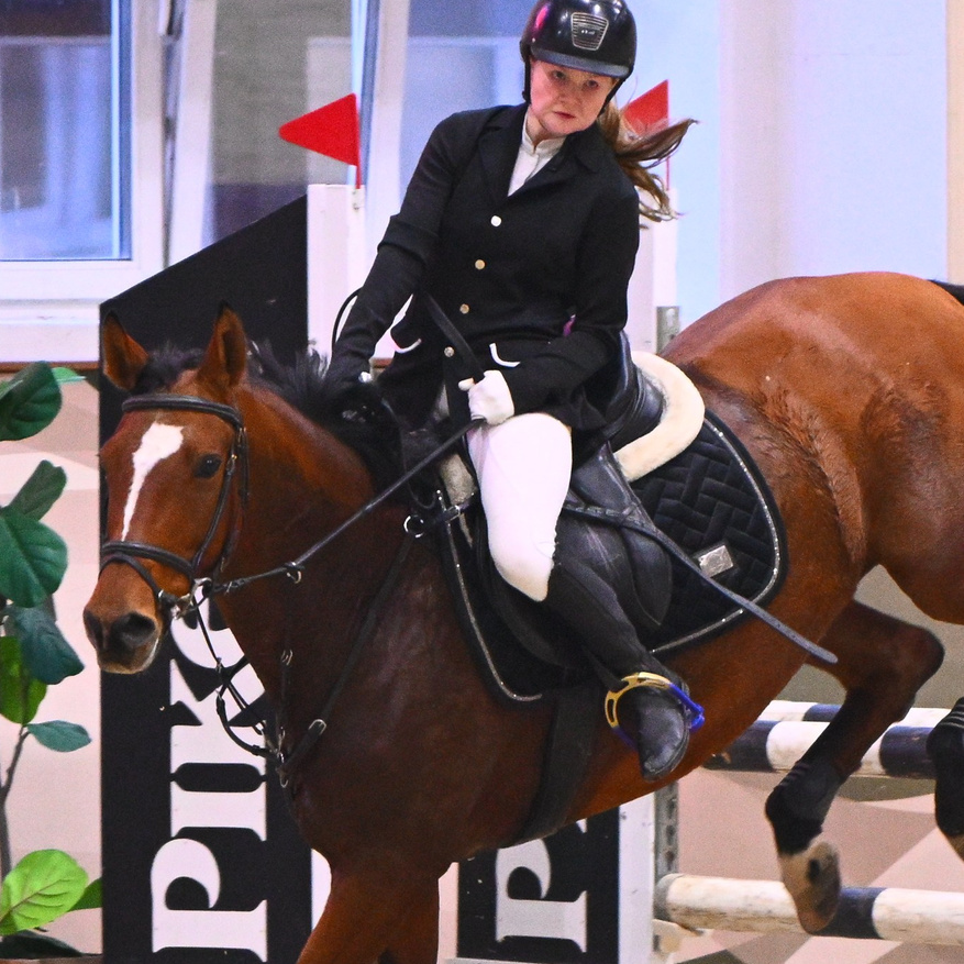 2025.10.25 — КСК Виват, Россия!. ТУРНИРНАЯ КОННАЯ ФОТОГРАФИЯ, Руднева Ольга и Евгений Адеев
