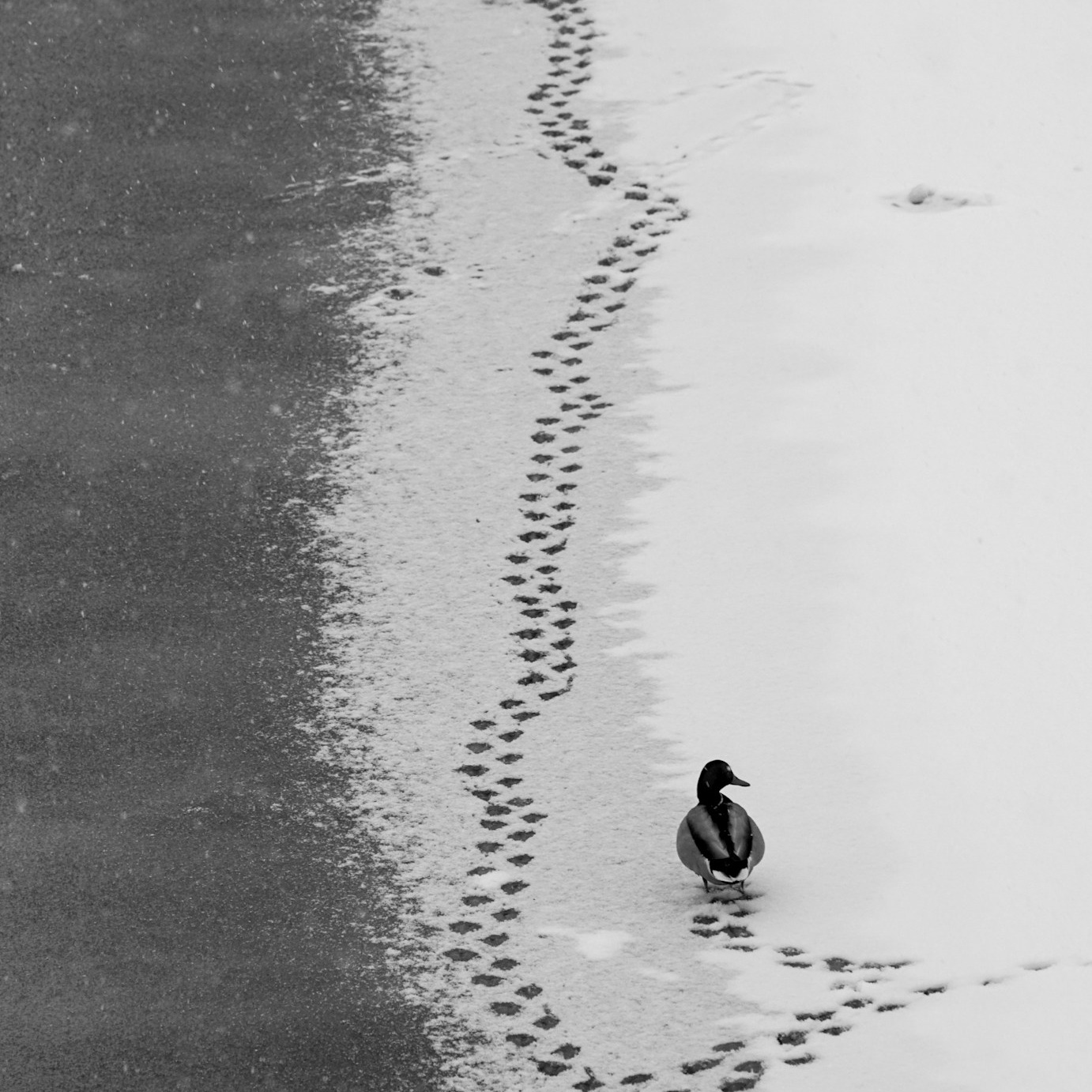 «Случайный кадр». Фотовыставки serebro.gallery, в которых автором можешь стать ты! | Москва