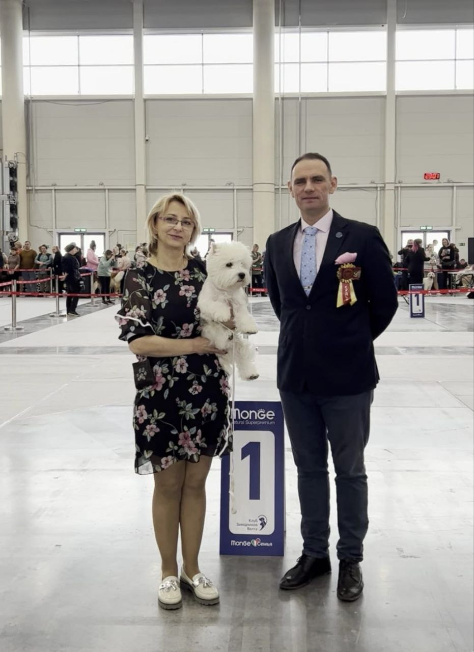 Новости питомника собак. Питомник собак породы вест хайленд вайт терьер в Москве