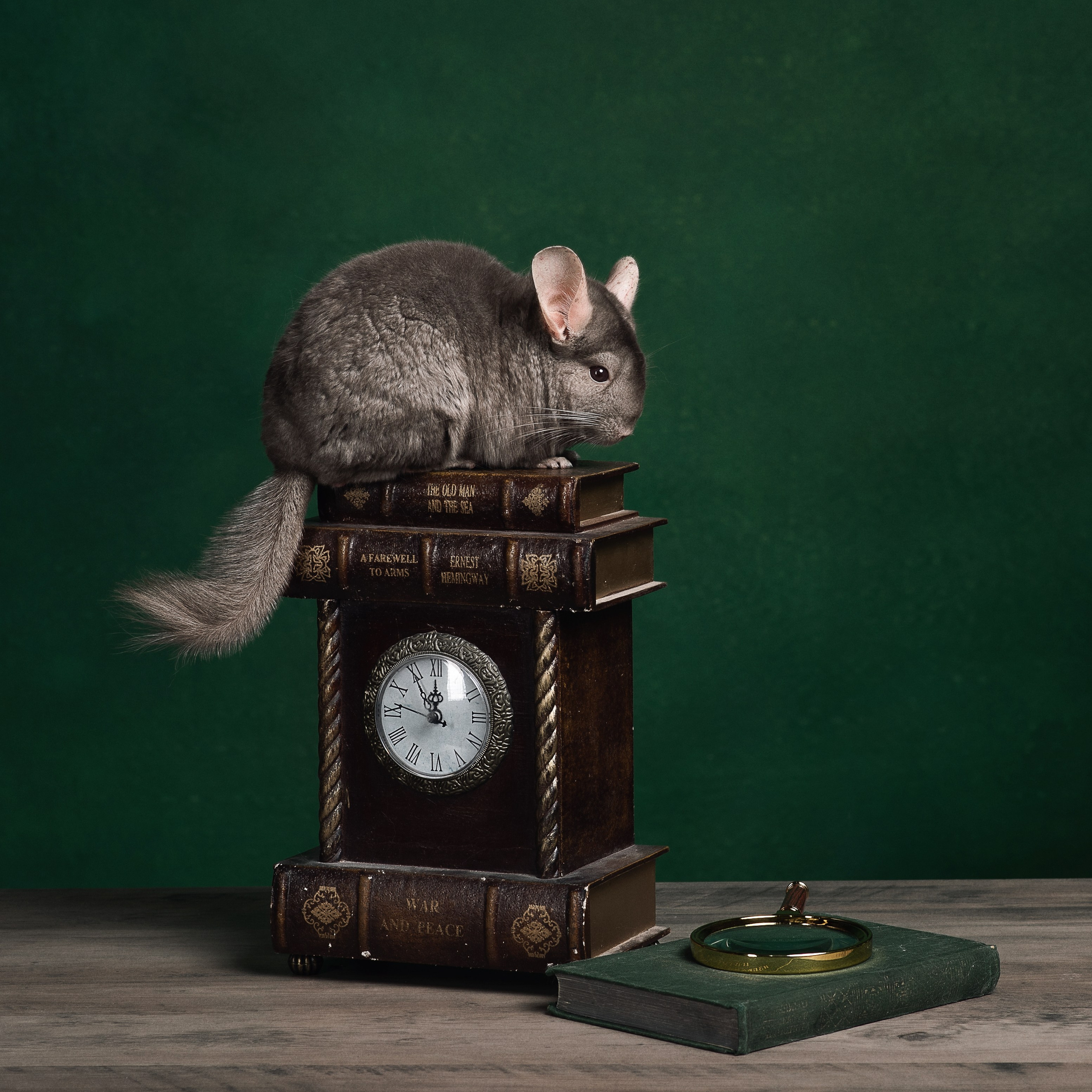 Мелкий реквизит студии. Фотографы в Орле Шестопаловы Юлия и Юрий