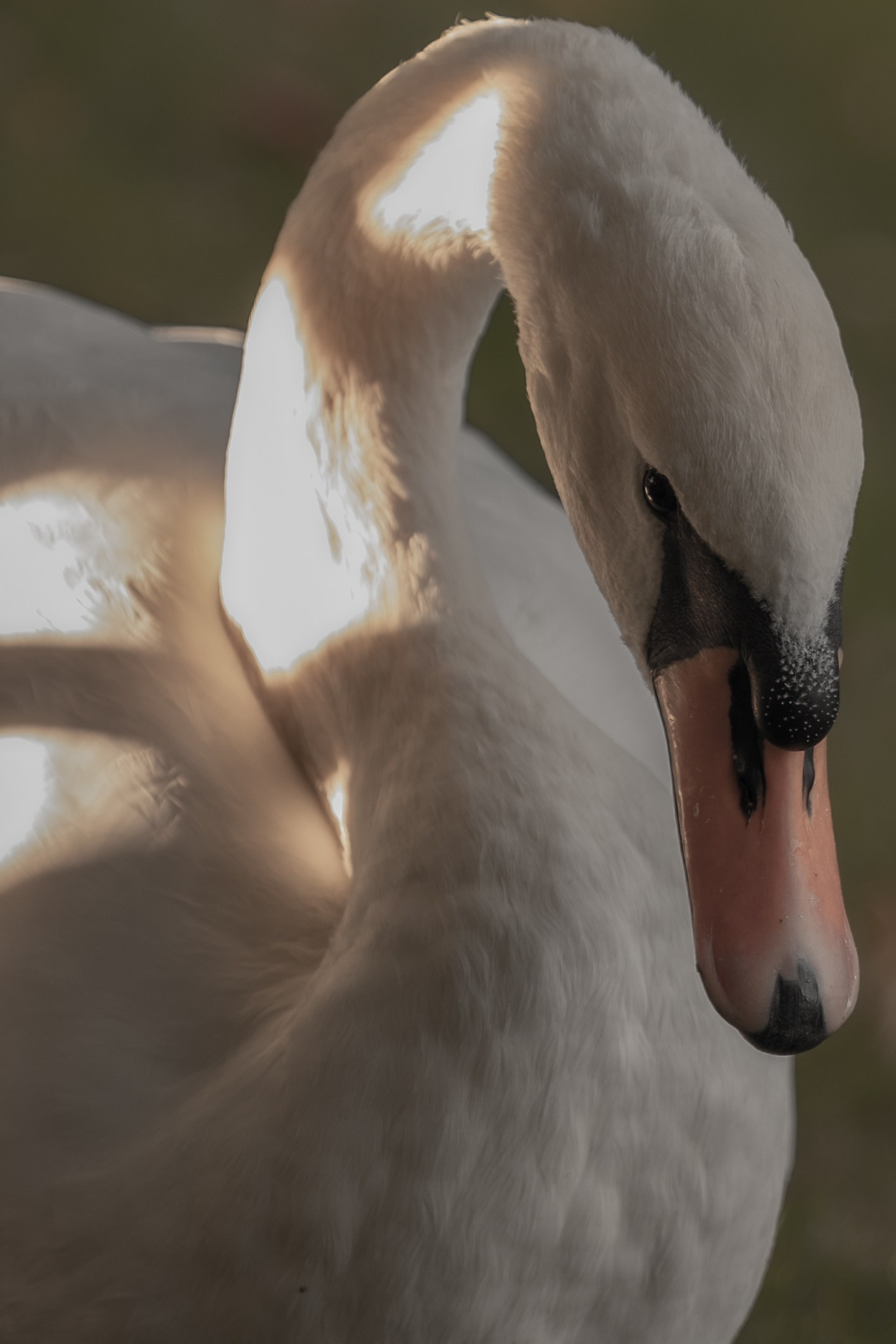 Контакты. Фотограф Твердохлебова Дарья, г. Санкт-Петербург