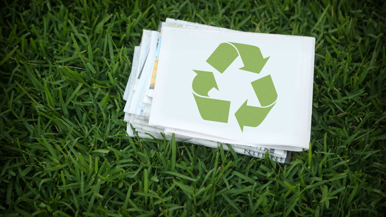 Pura Terra — приём вторичного сырья в Евпатории