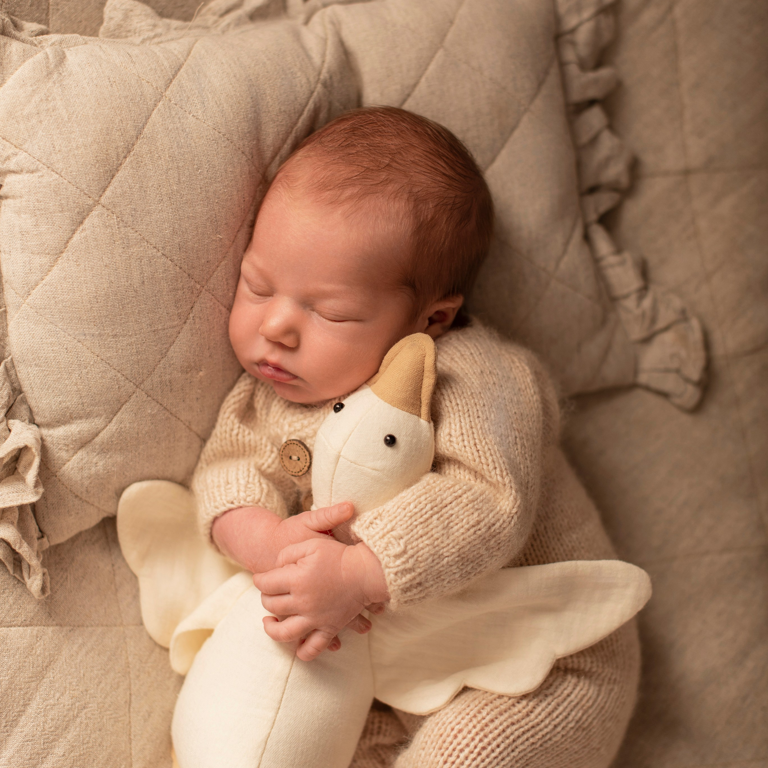 Новорожденные. Фотограф новорожденных и беременности Сергиев Посад Усачева Ирина