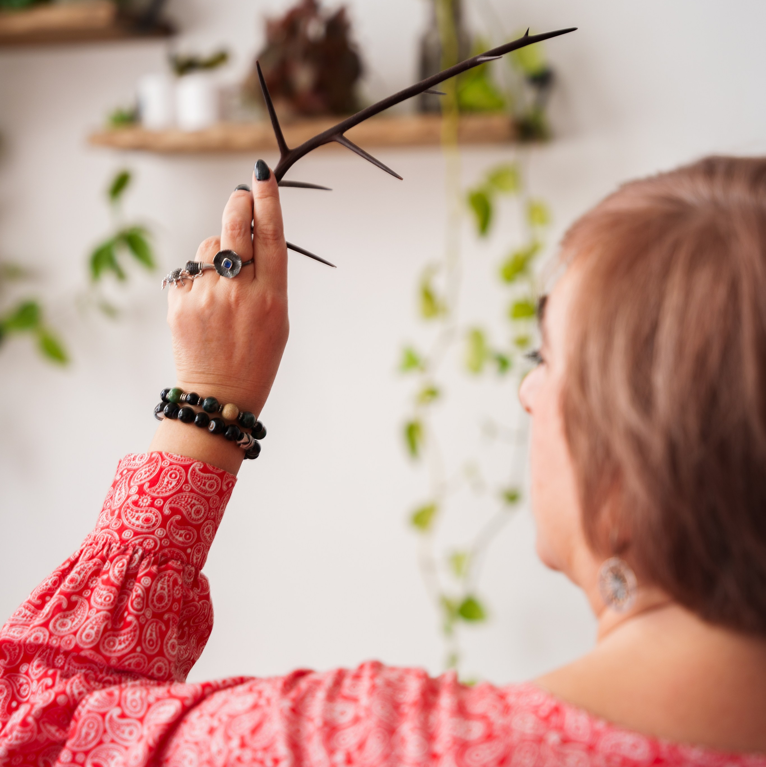 Услуги. Кудесье