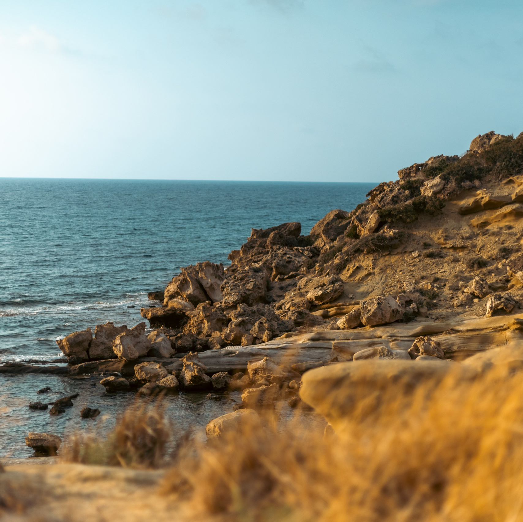 Семейный фотограф Израиль