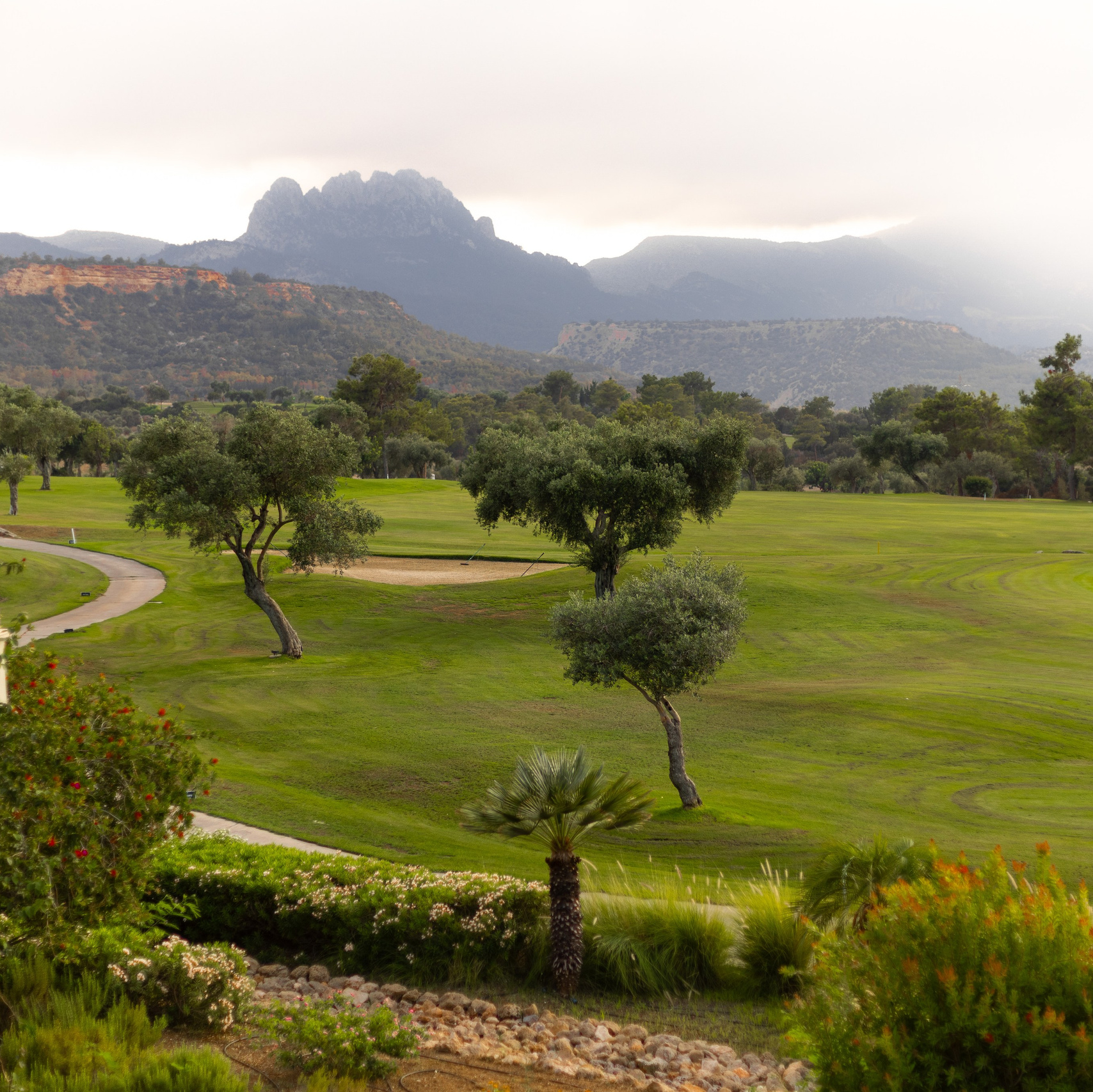Услуги. Семейный фотограф Израиль