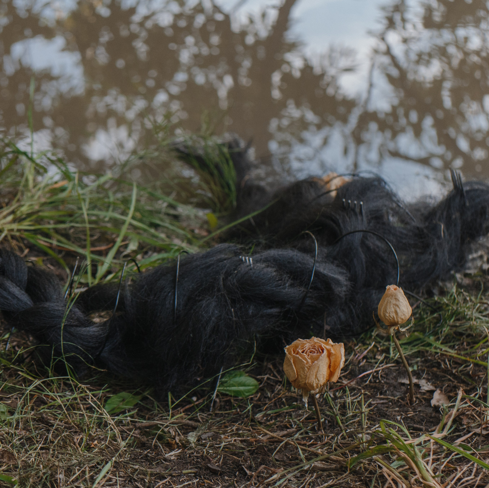 Работы. Ирина Петрова. Современный художник