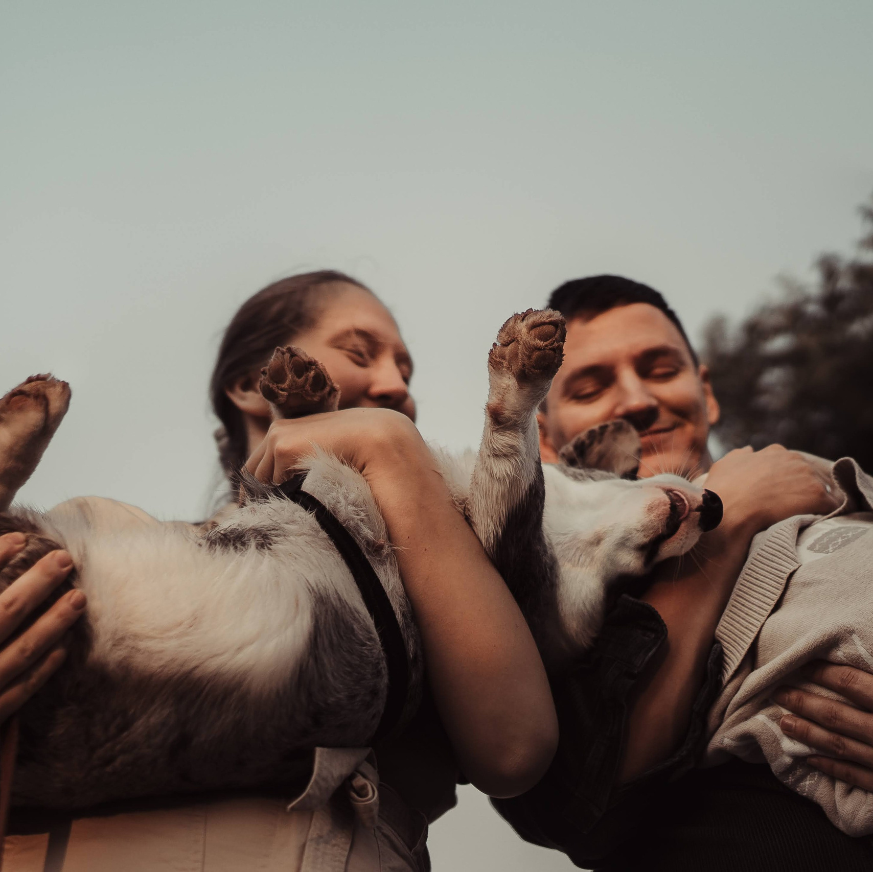 Book a photo shoot. Photos of you and your pet