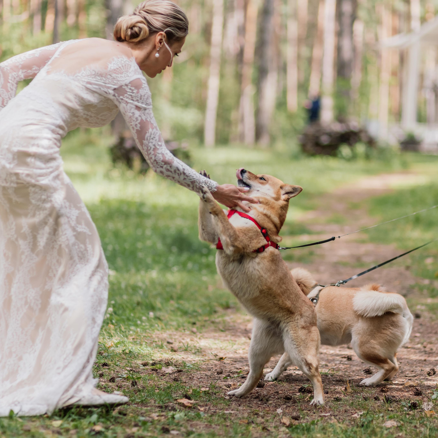 Свадебная фото-съемка в Москве и МО - фотограф Алена Лето. Семейный и свадебный фотограф в Москве и МО — Алена Лето