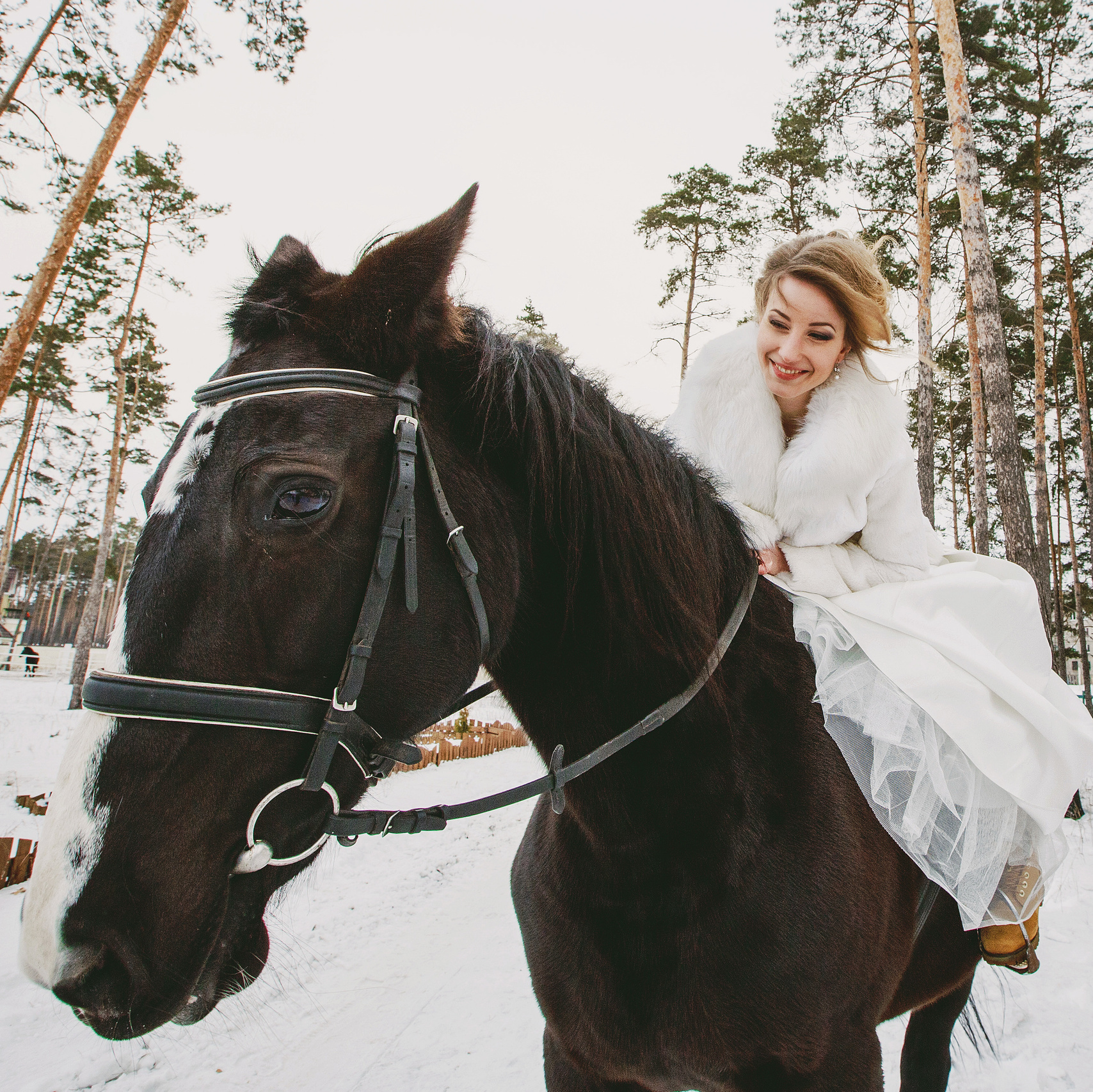 Свадьбы. Фотограф Липецк. Фотограф в Липецке Татьяна Минаева. Портретный фотограф Липецк. Свадебный фотограф Липецк. Бизнес фотограф Липецк