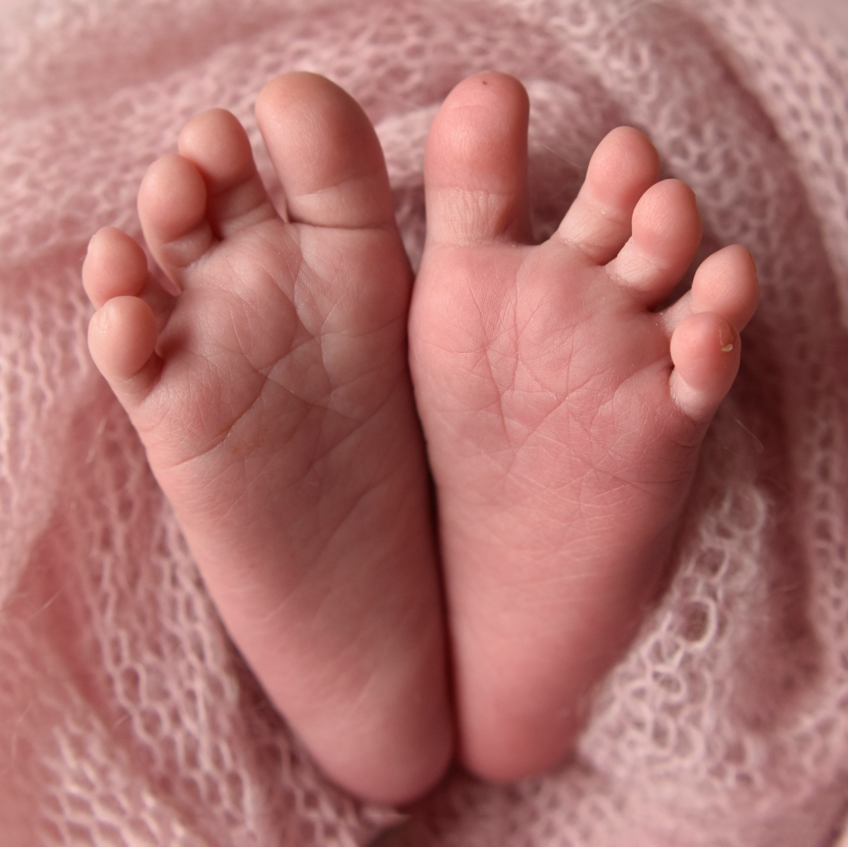 Контакты. Фотограф новорожденных Алеся Парфёнова