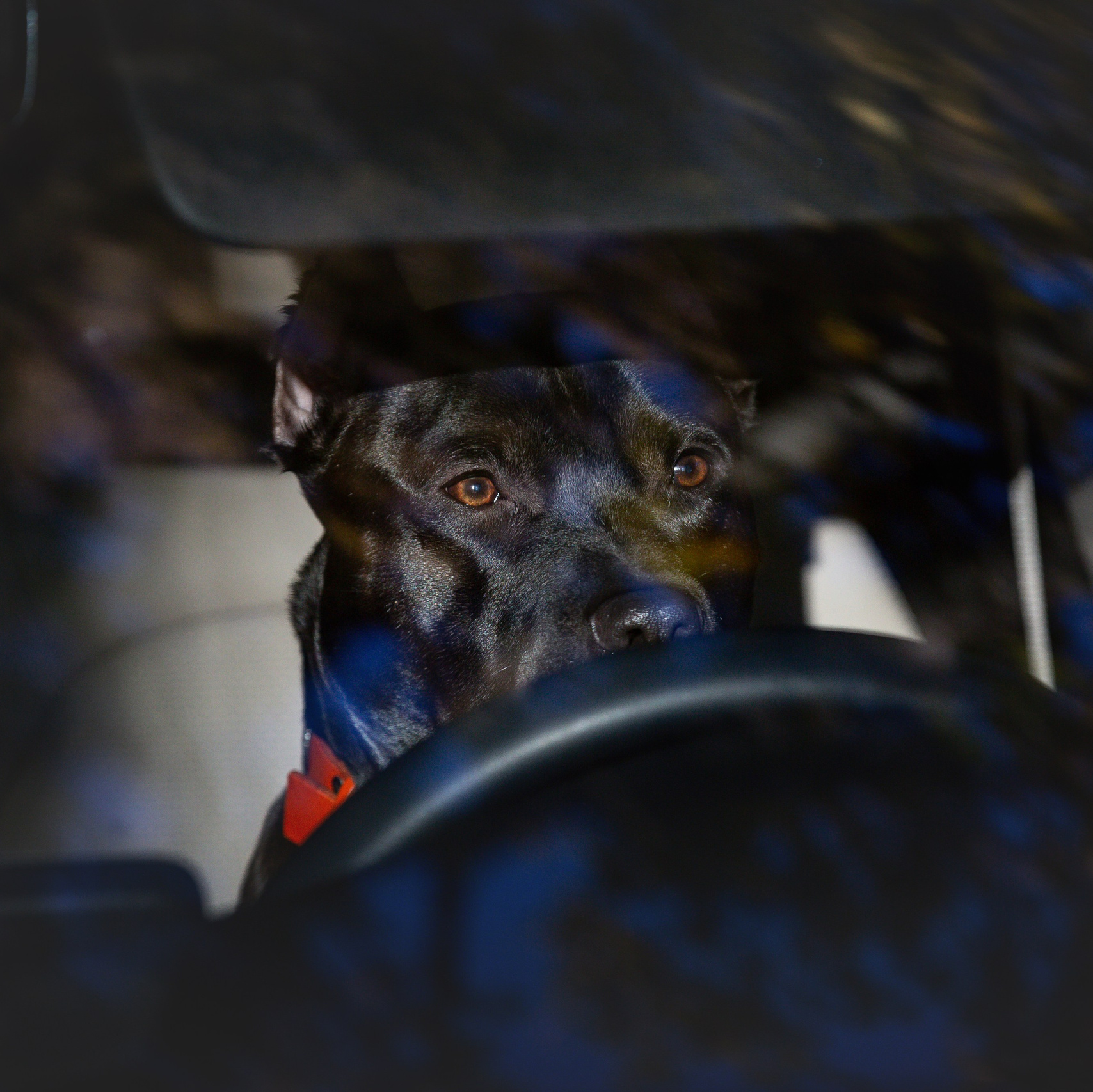 Контакты. Главная