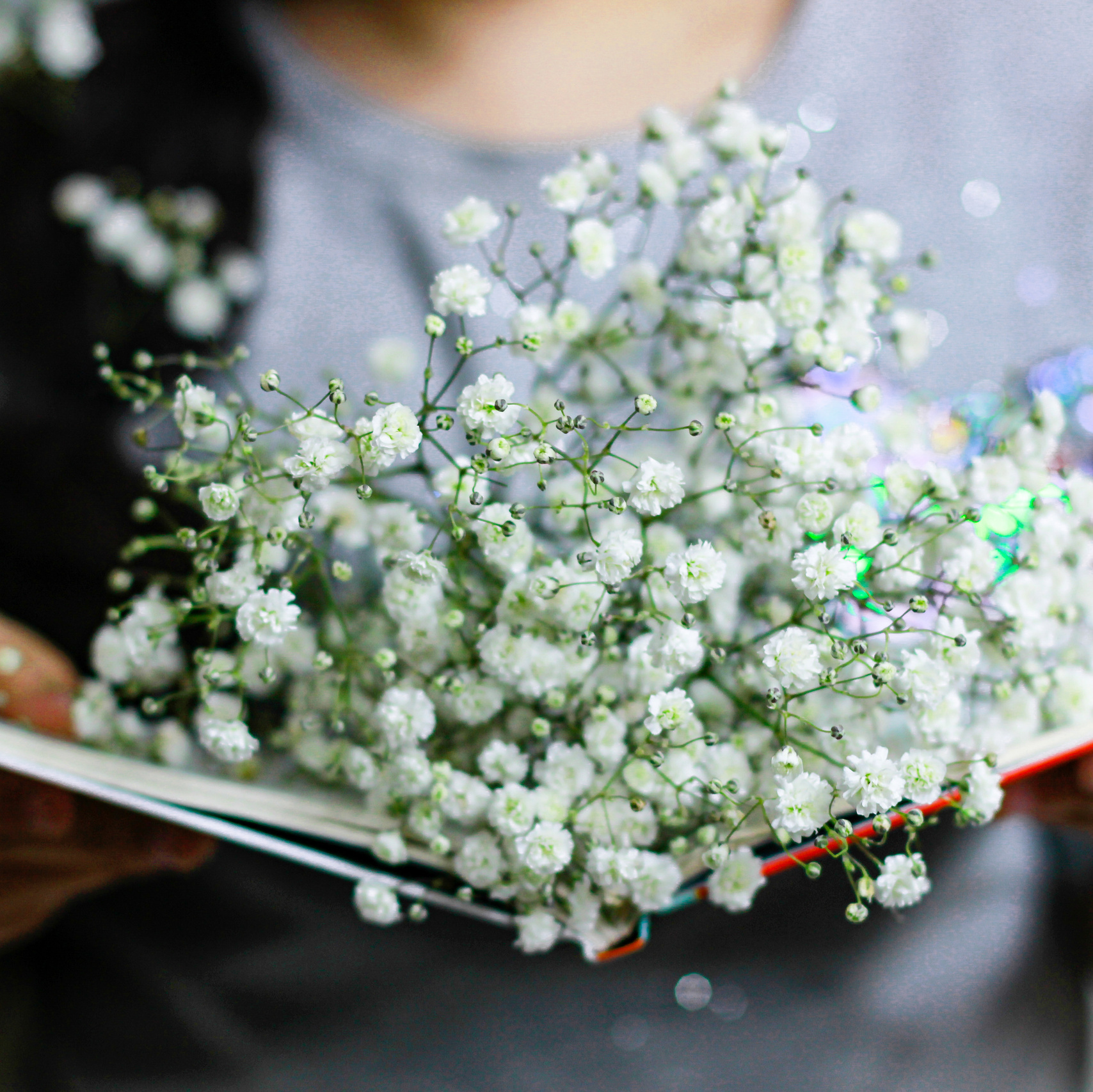 Прайс услуг. «ФотоЛерия» ФОТОГРАФ ВЫПУСКНЫЕ АЛЬБОМЫ