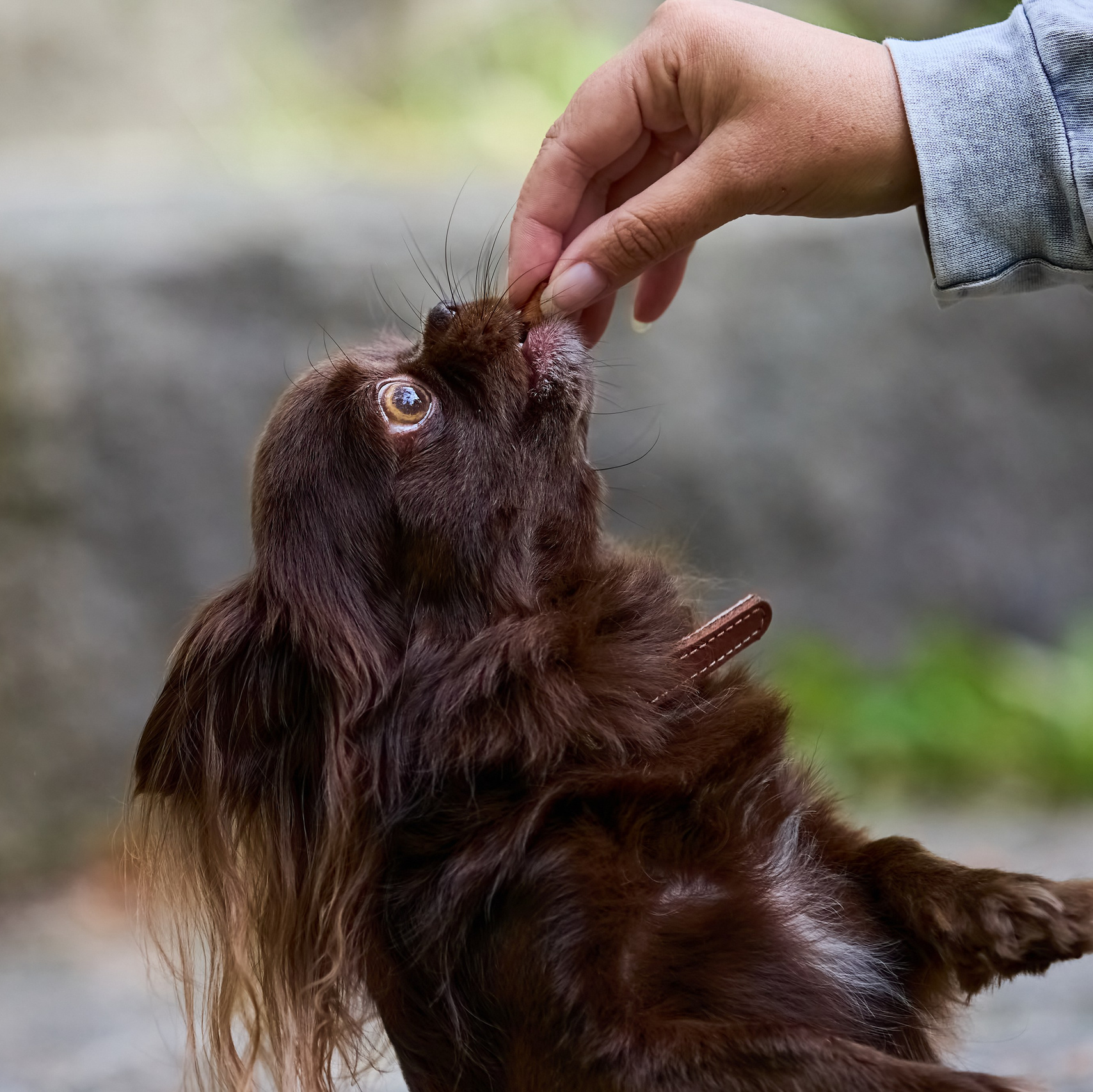 Услуги Буйволенко Андрея. Buyvolenko Andrey
