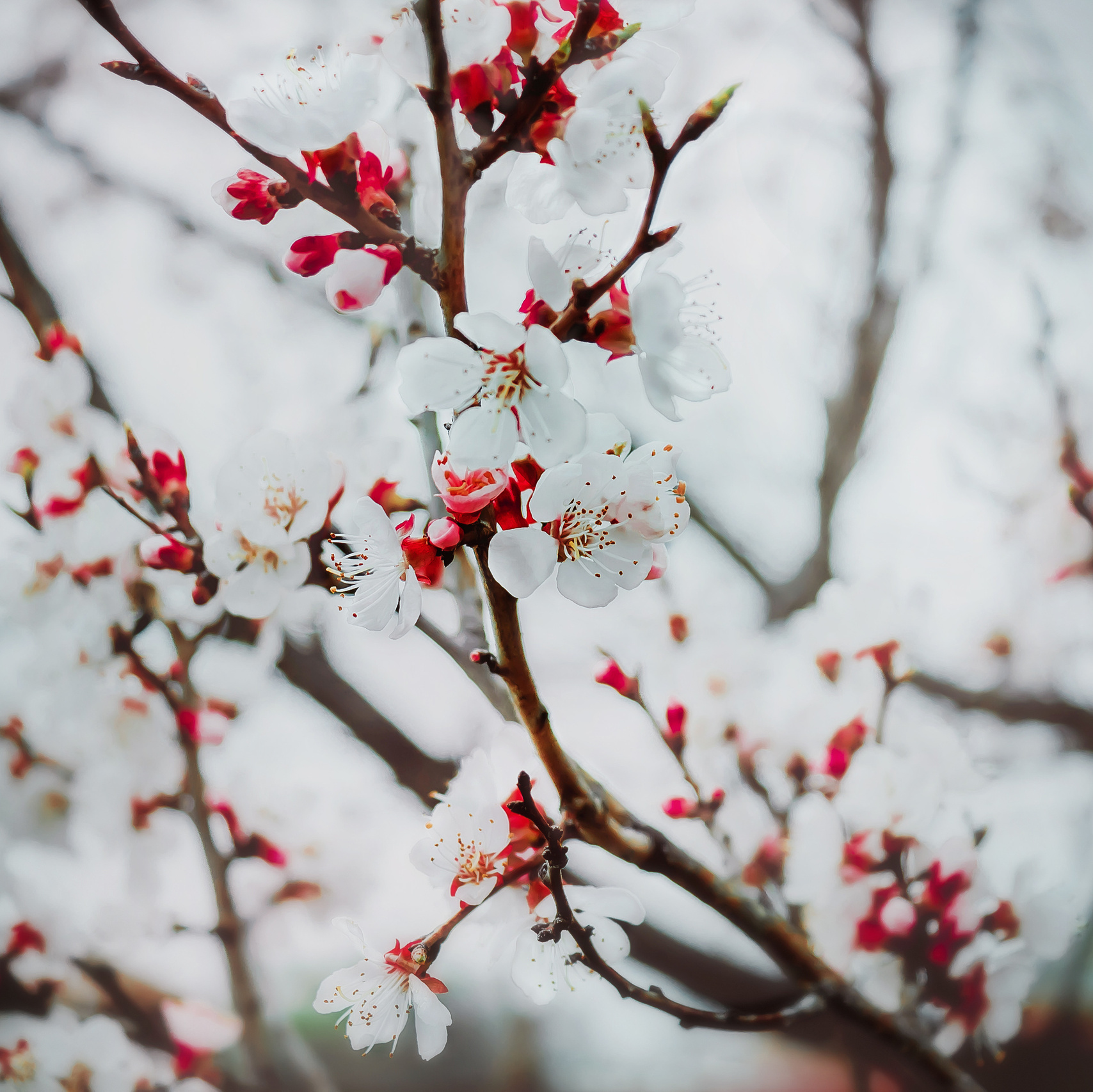 Контакты. Детский и семейный фотограф Julia Komchenko
