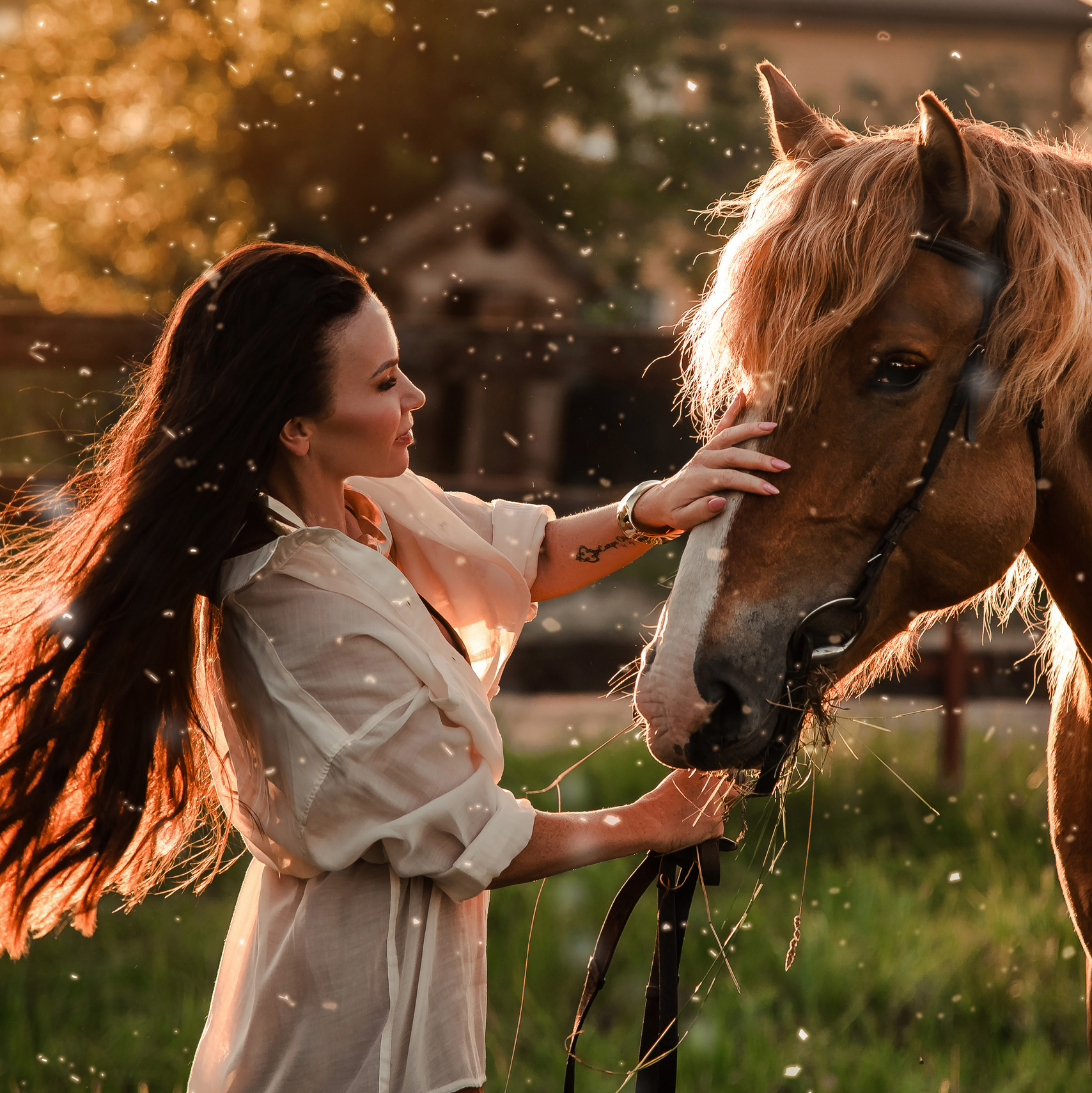 Фотосессия с лошадьми. Контент фотограф в Москве Лихачева Ксения