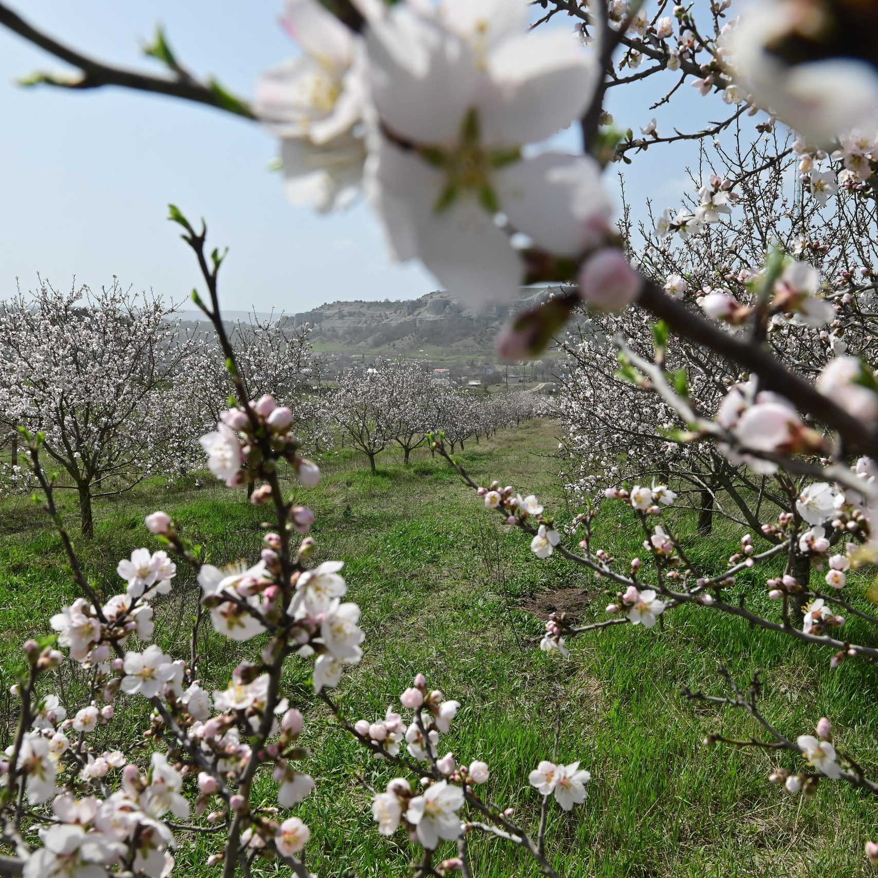 ФОТОПУТЕШЕСТВИЯ. Фототуры, обучение, фотограф Анастасия Забелина в Крыму и Севастополе