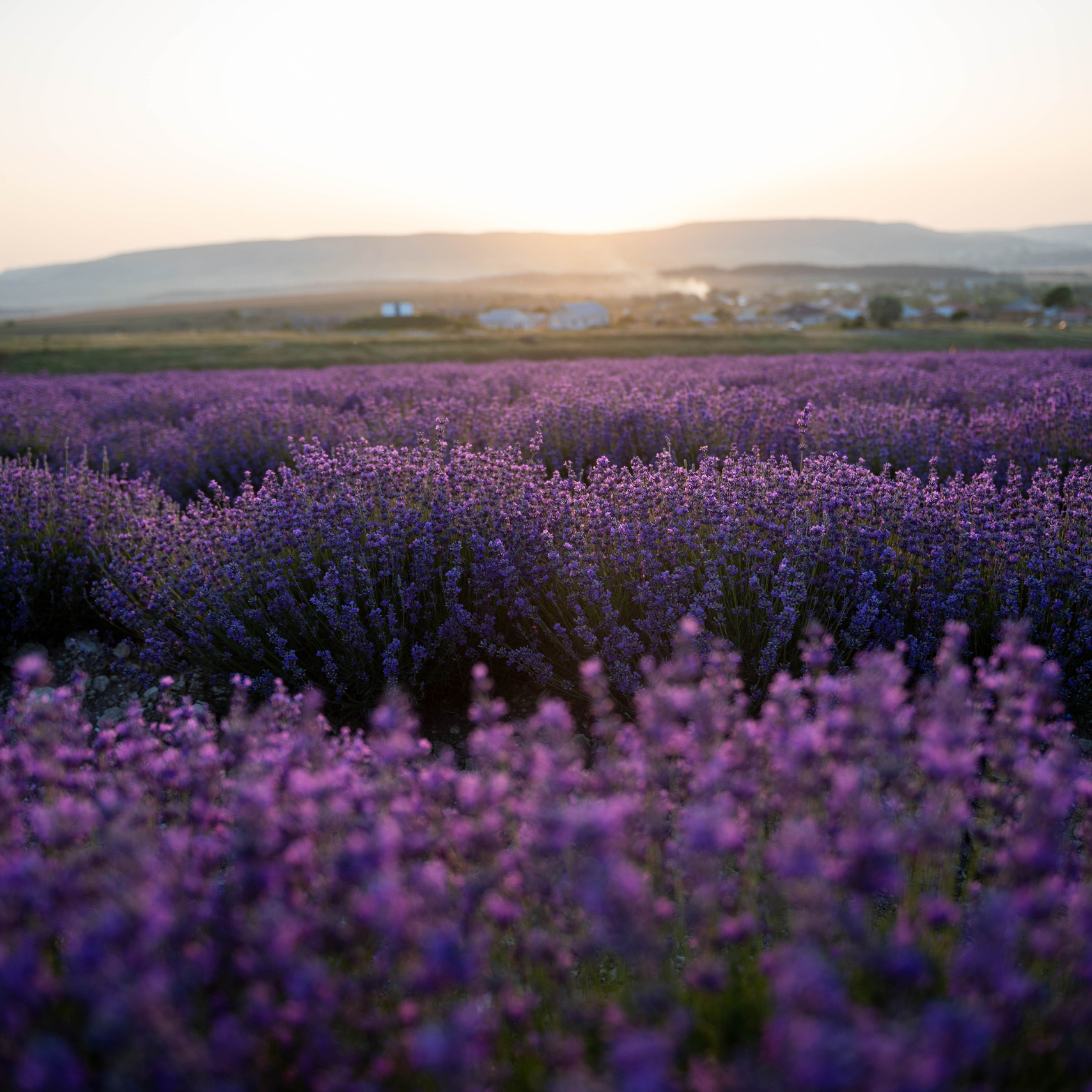 ФОТОПУТЕШЕСТВИЯ. Фототуры, обучение, фотограф Анастасия Забелина в Крыму и Севастополе