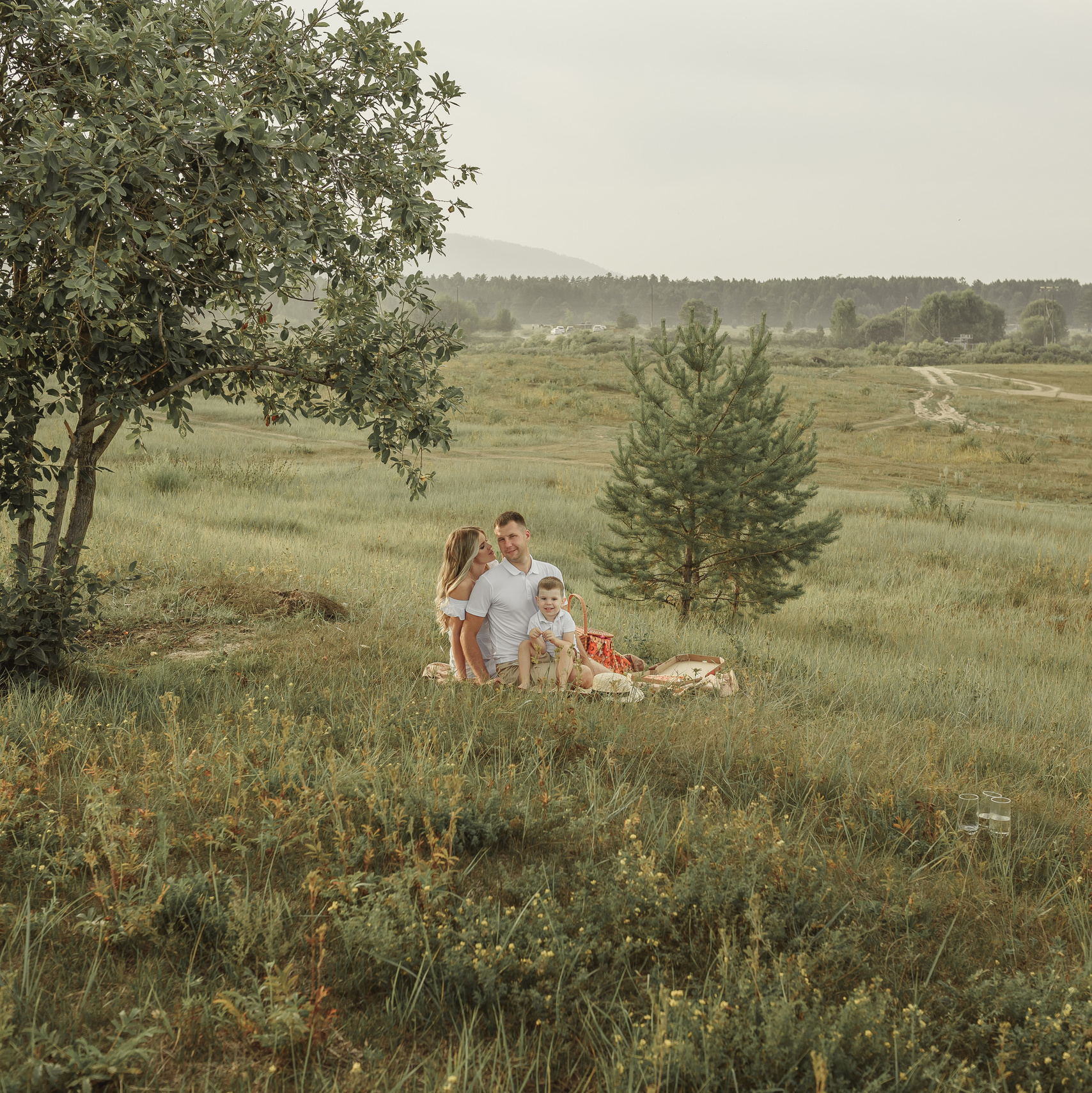 Семья на пикнике на природе в летний солнечный день