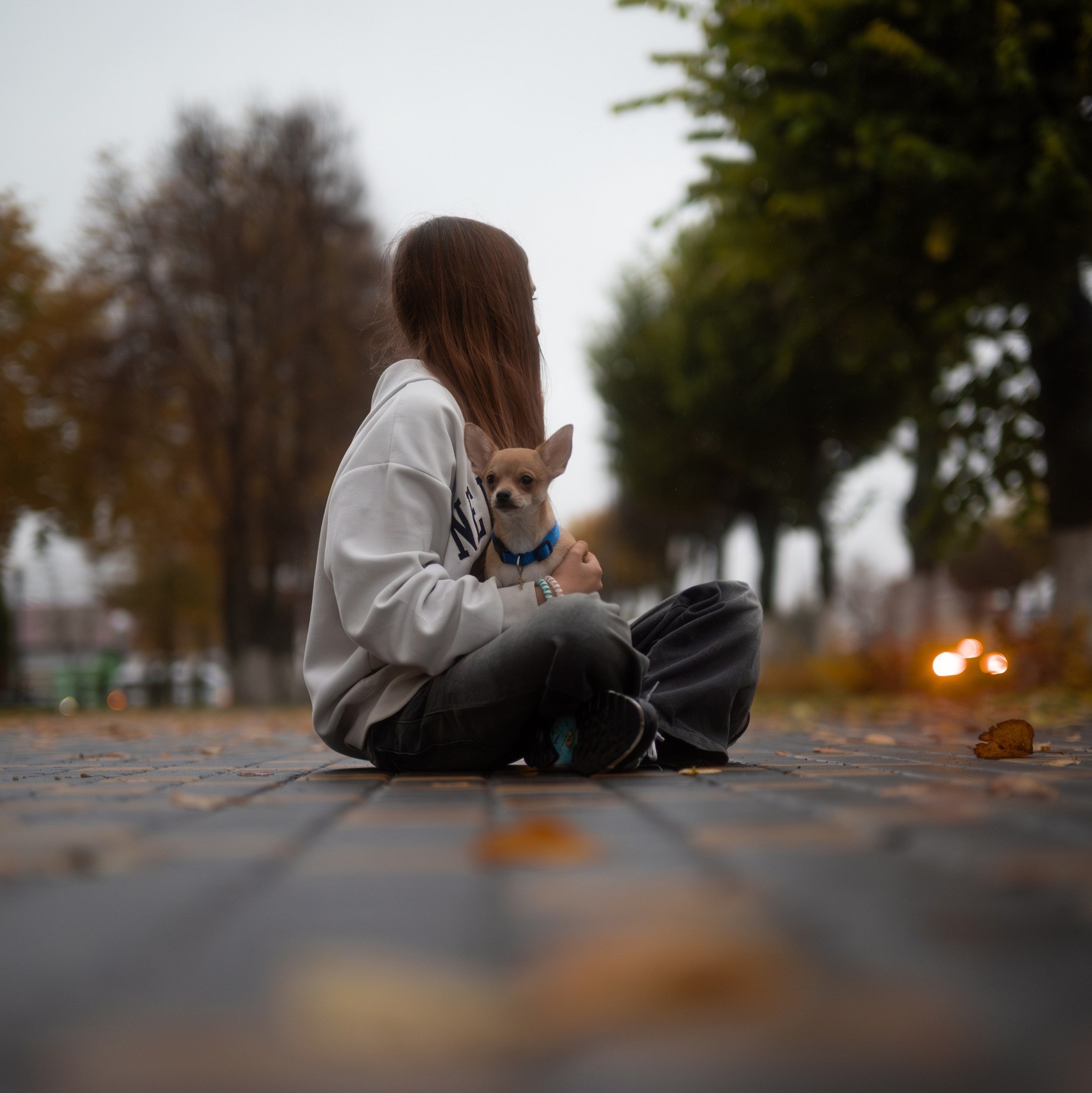 Как подготовить собаку к фотосессии — Полезные советы владельцам