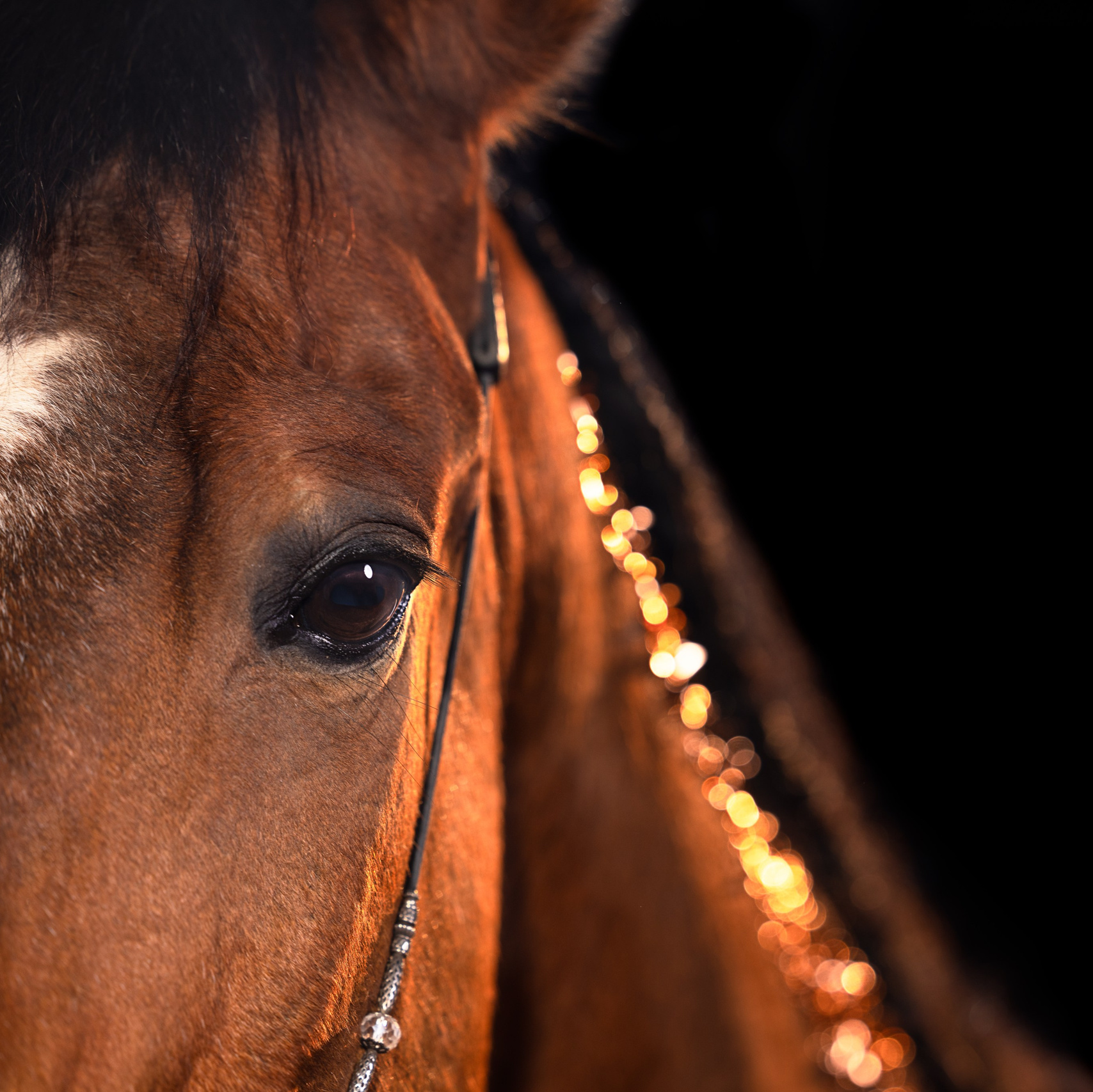 На что я снимаю. Mrs.Aquarelia Конный фотограф Марианна Леонтьева