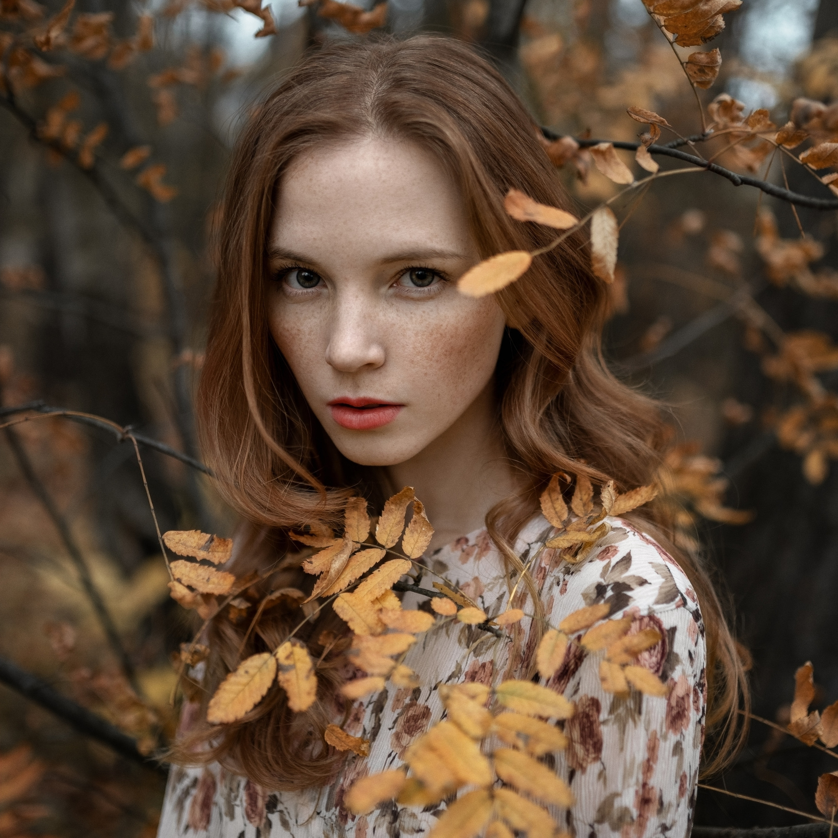 Видеокурсы. Фотограф Куренной Александр