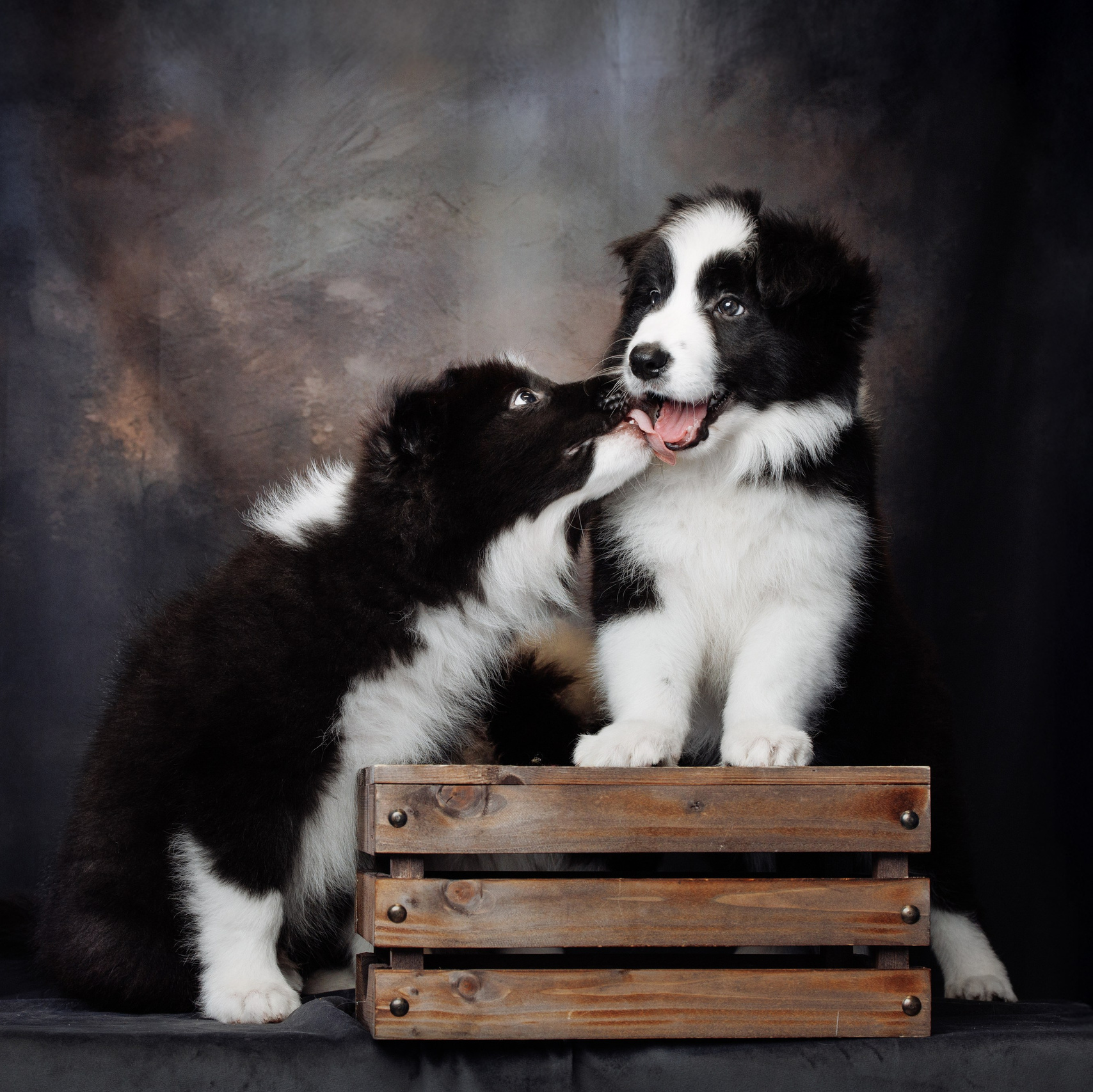 Контакты. О нас