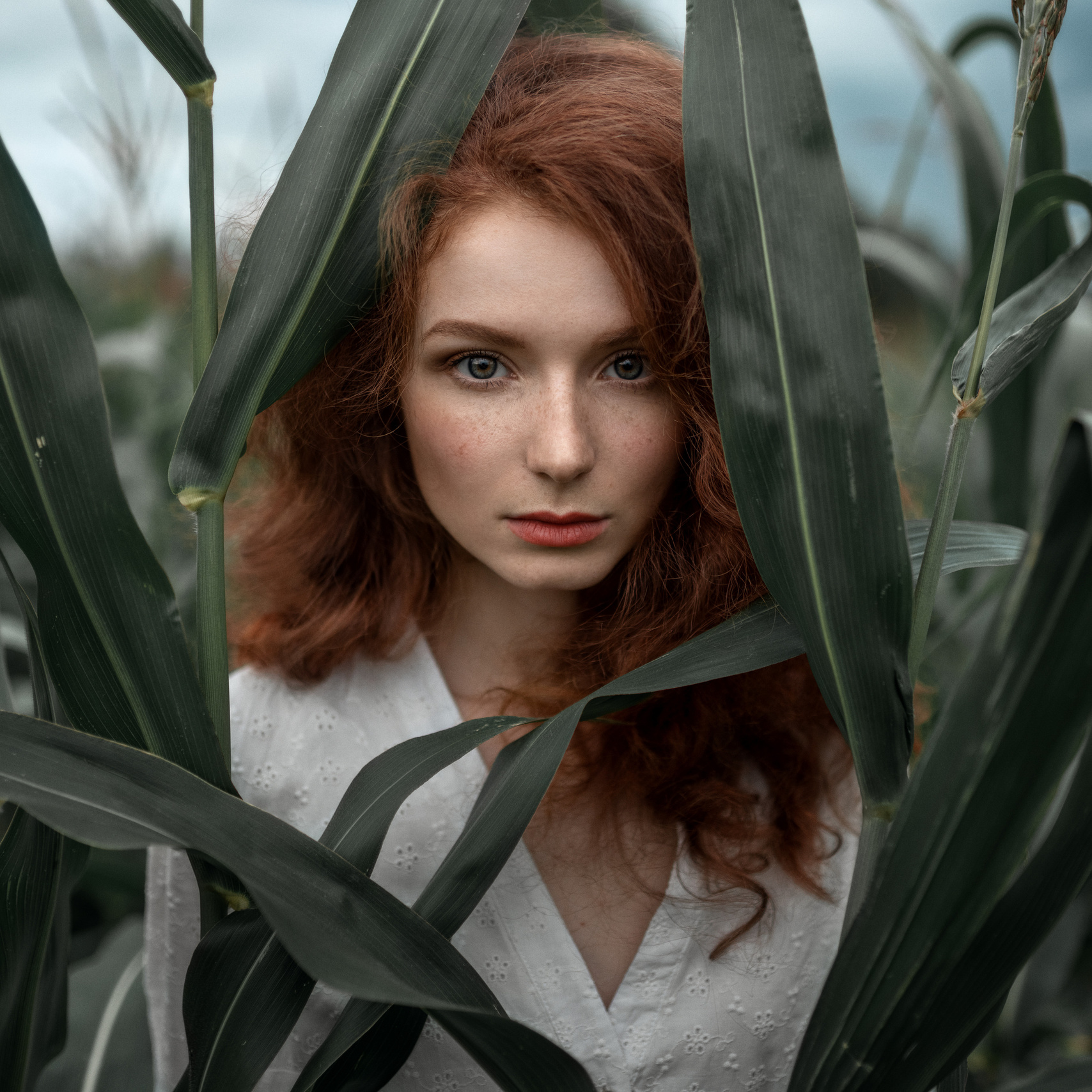 Видеокурсы. Фотограф Куренной Александр