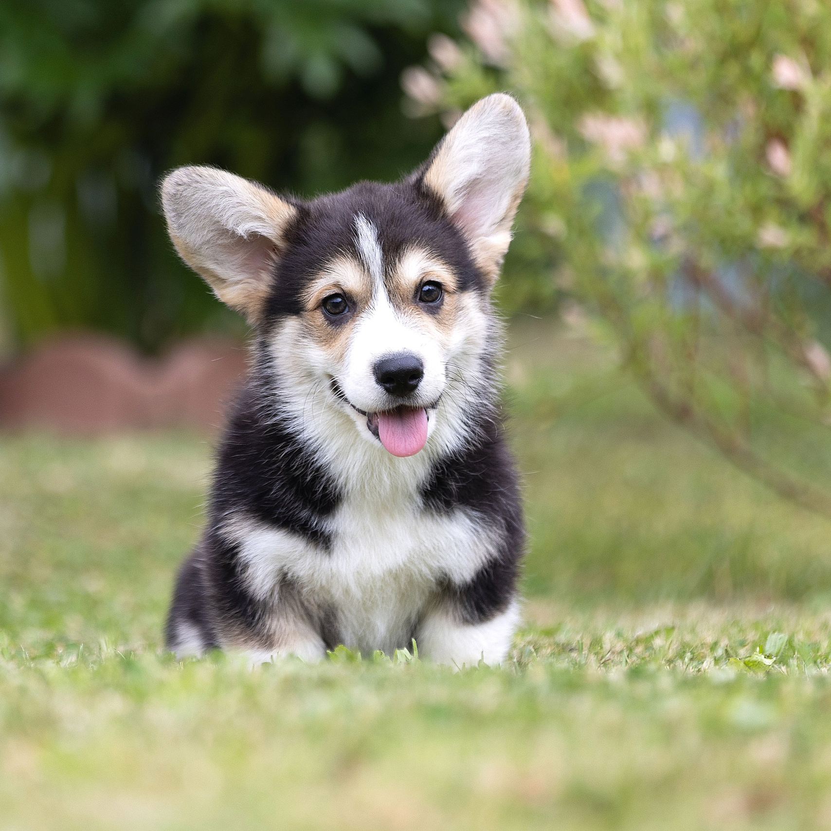 Услуги. Главная