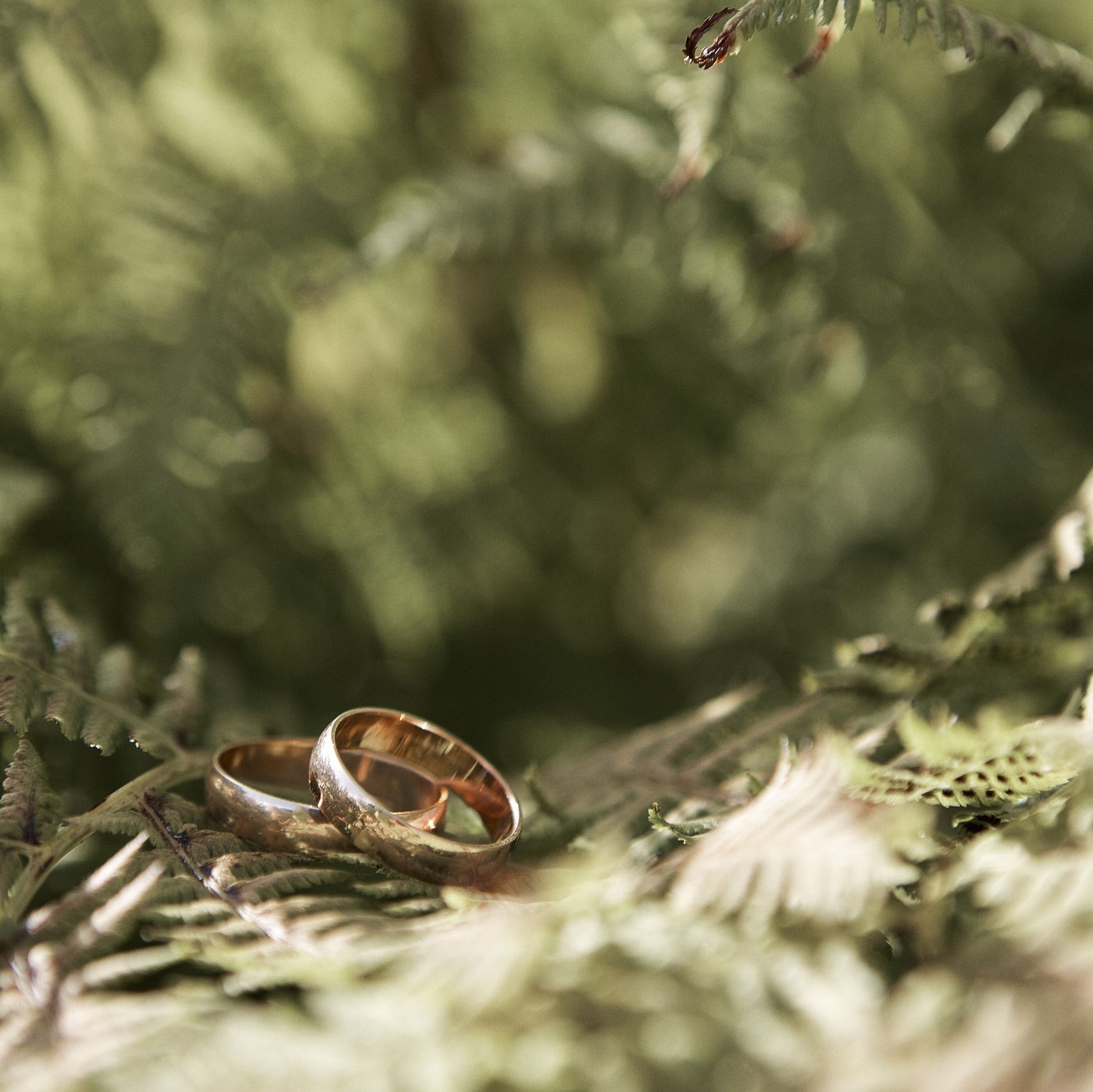 Услуги и цены. Свадебный фотограф на Камчатке Ян Панов