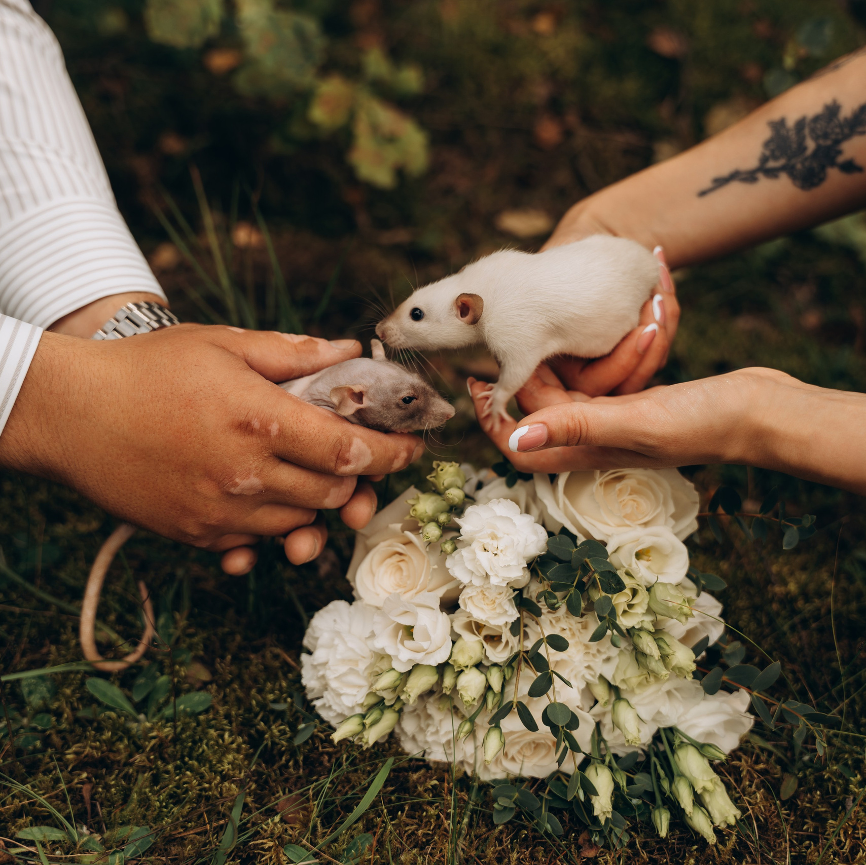 Услуги и цены. Фотограф Мария Миллс | Минск